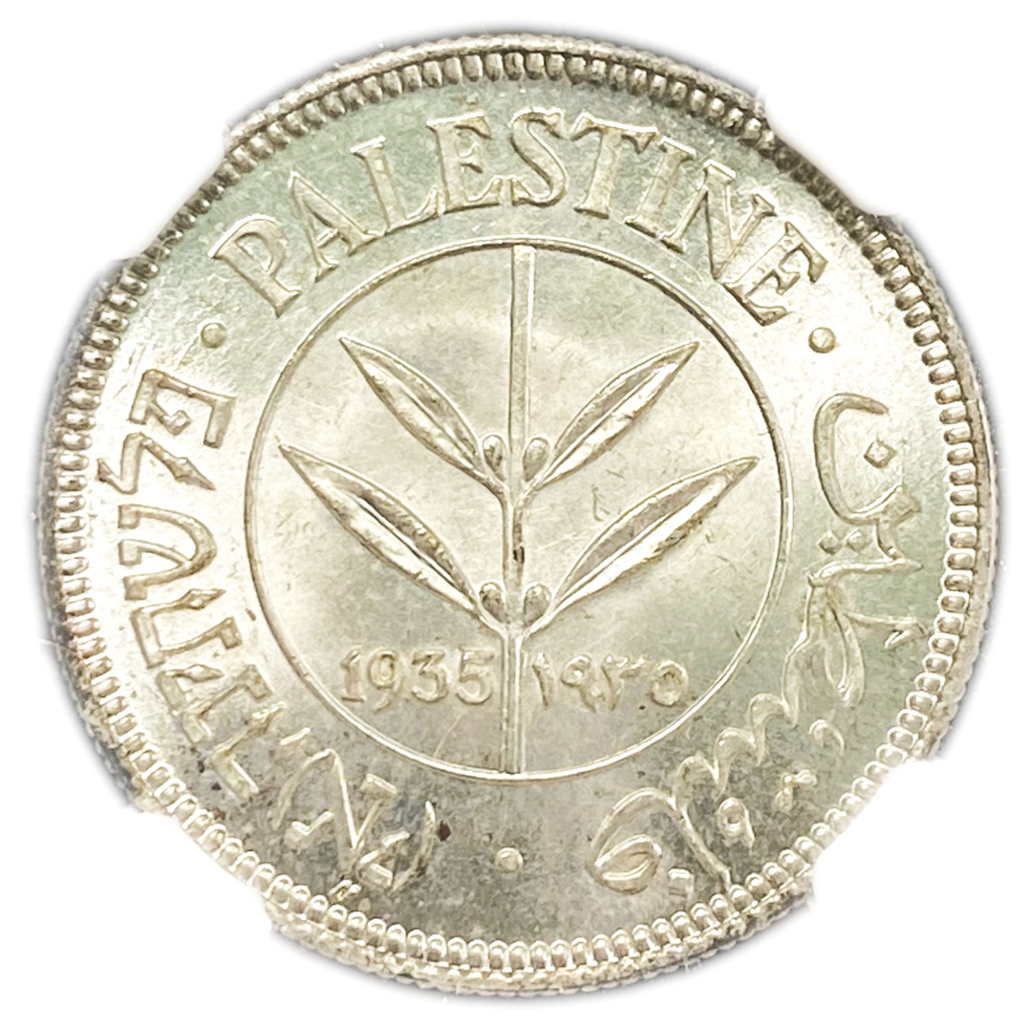 Palestine - 50 Mils 1935 - The highest grade known - NGC MS 66
Mil was the Hebrew name of the coin ... - 1 0