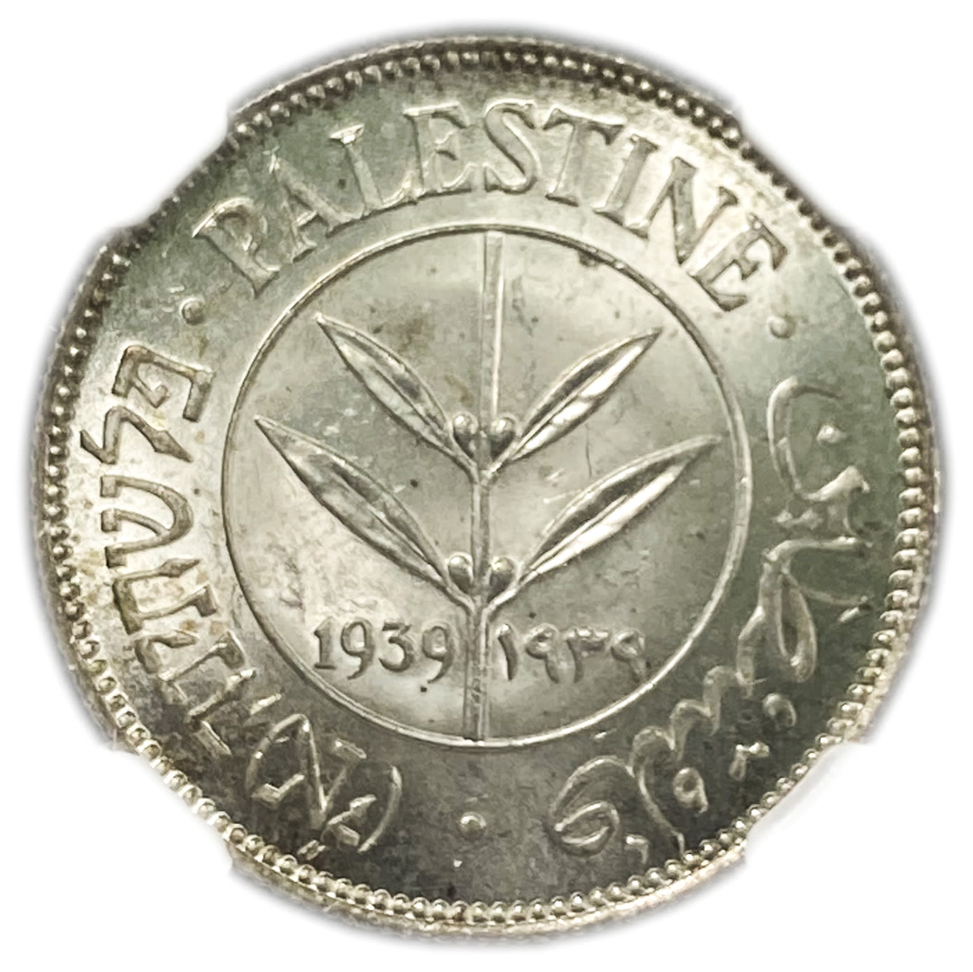 Palestine - 50 Mils 1939 - NGC MS 64+
Mil was the Hebrew name of the coin that was ... - 1 0