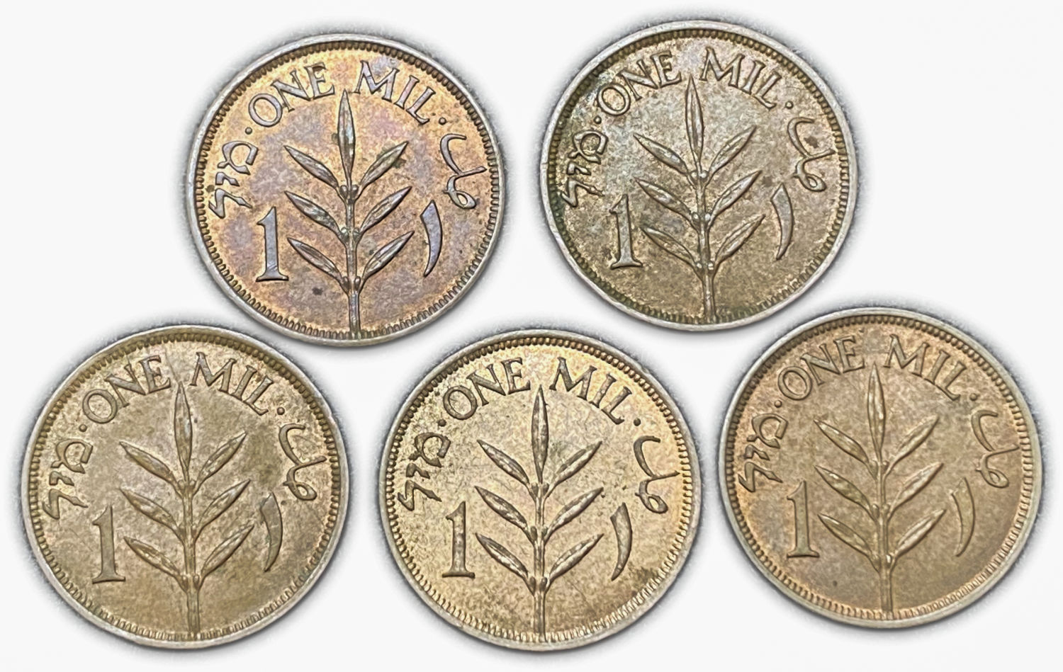 Palestine - Lot of 5 coins of 1 Mil 1943 - AU-UNC
MIL, was the Hebrew name of ... - 1 1