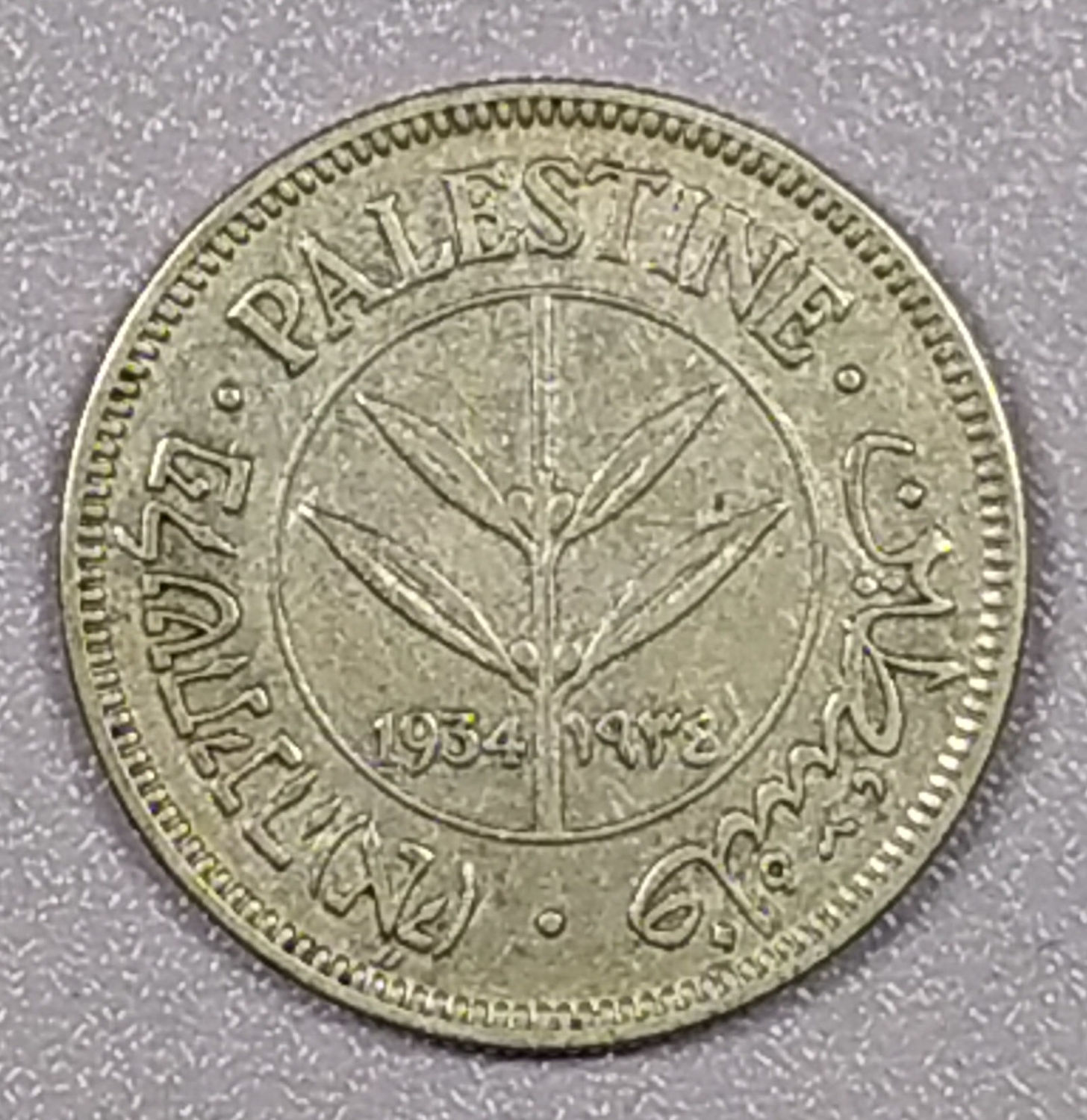 Palestine - 50 Mils 1934 - VF-XF - 1 0