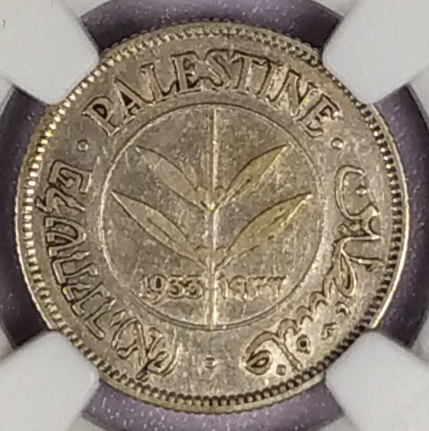 Palestine - 50 Mils 1933 - NGC VF 30 - 1 0