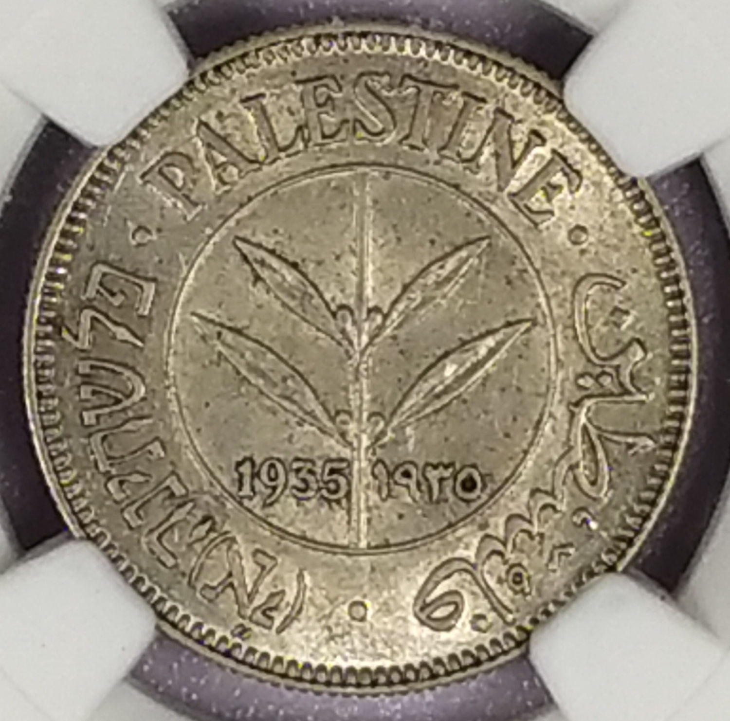 Palestine - 50 Mils 1935 - NGC AU 55 - 1 0