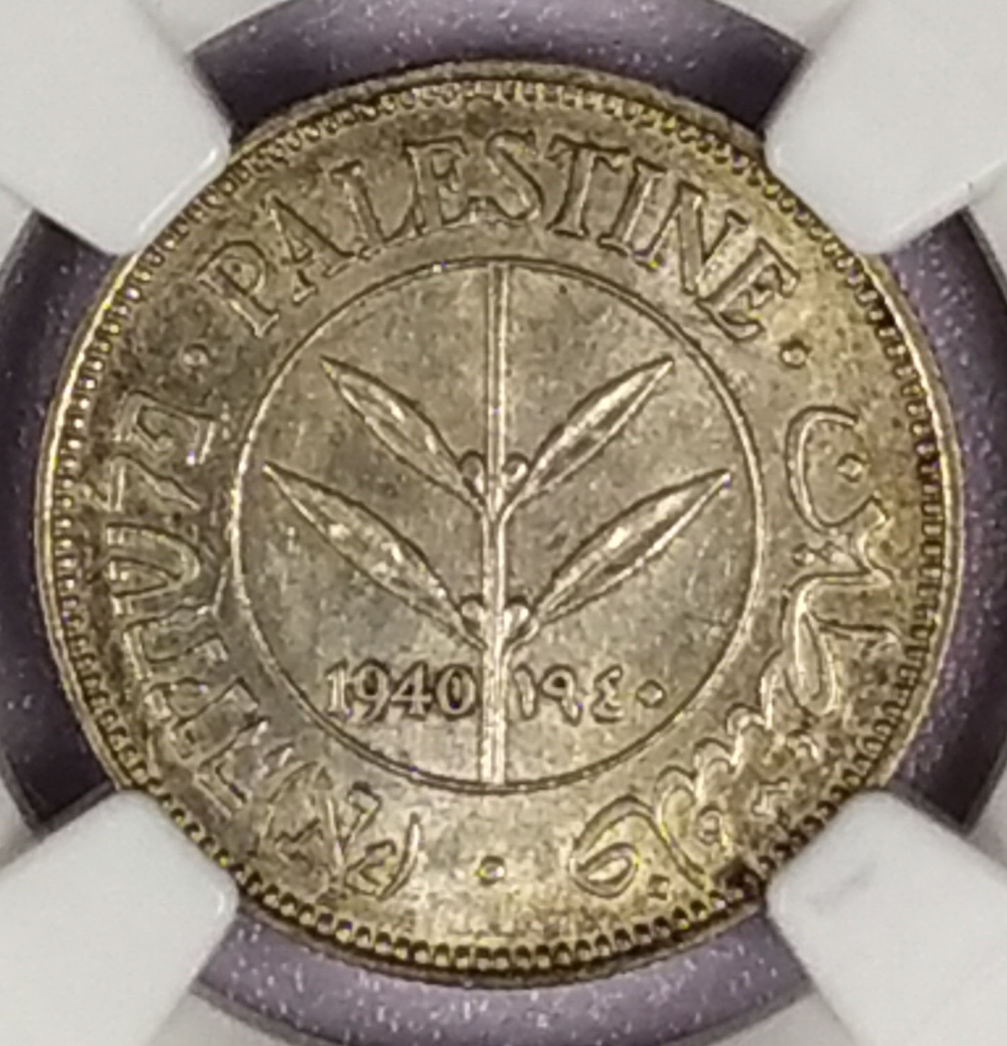 Palestine - 50 Mils 1940 - NGC 62 - 1 0