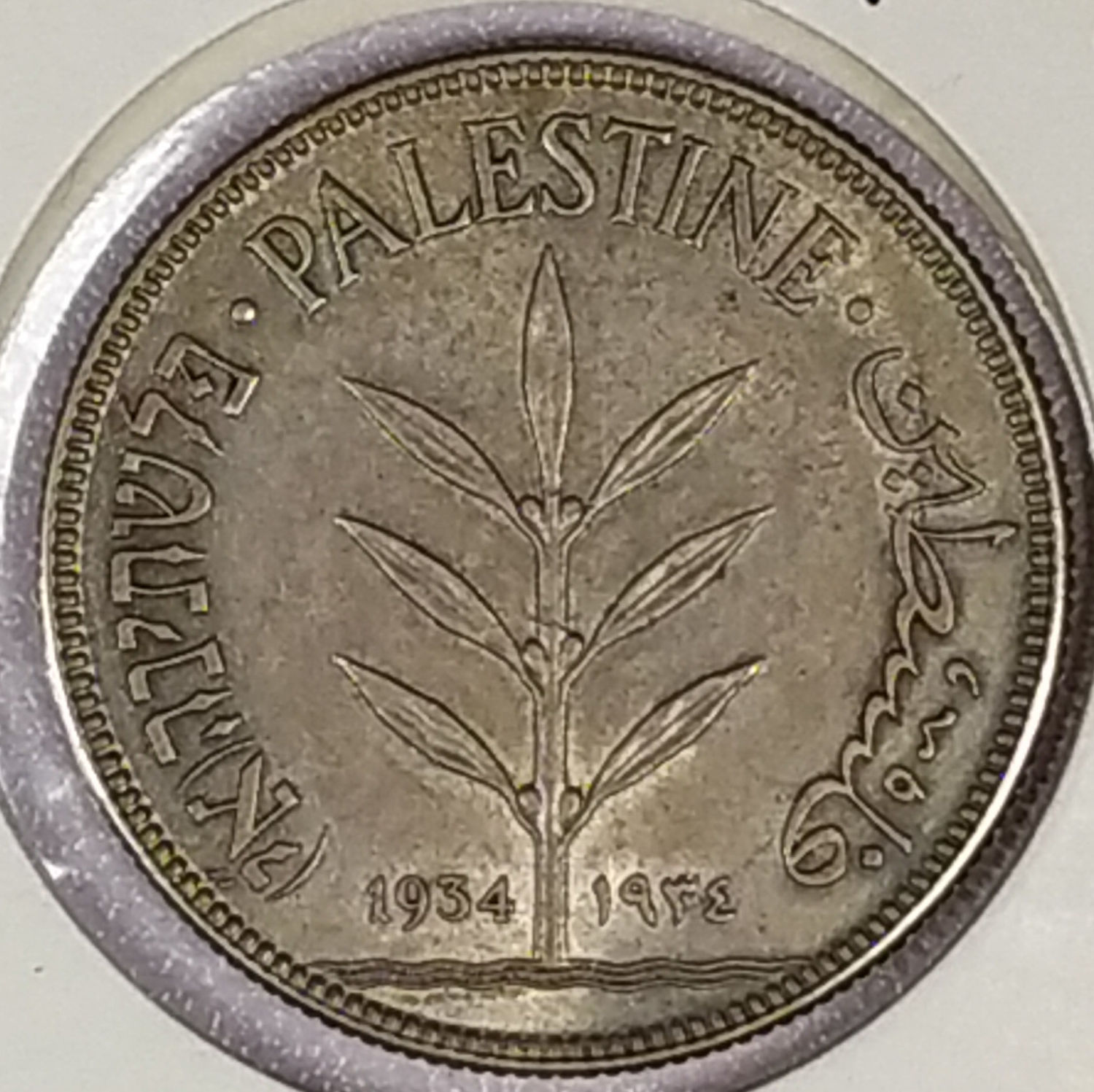 Palestine - 100 Mils 1934 - AU - 1 0