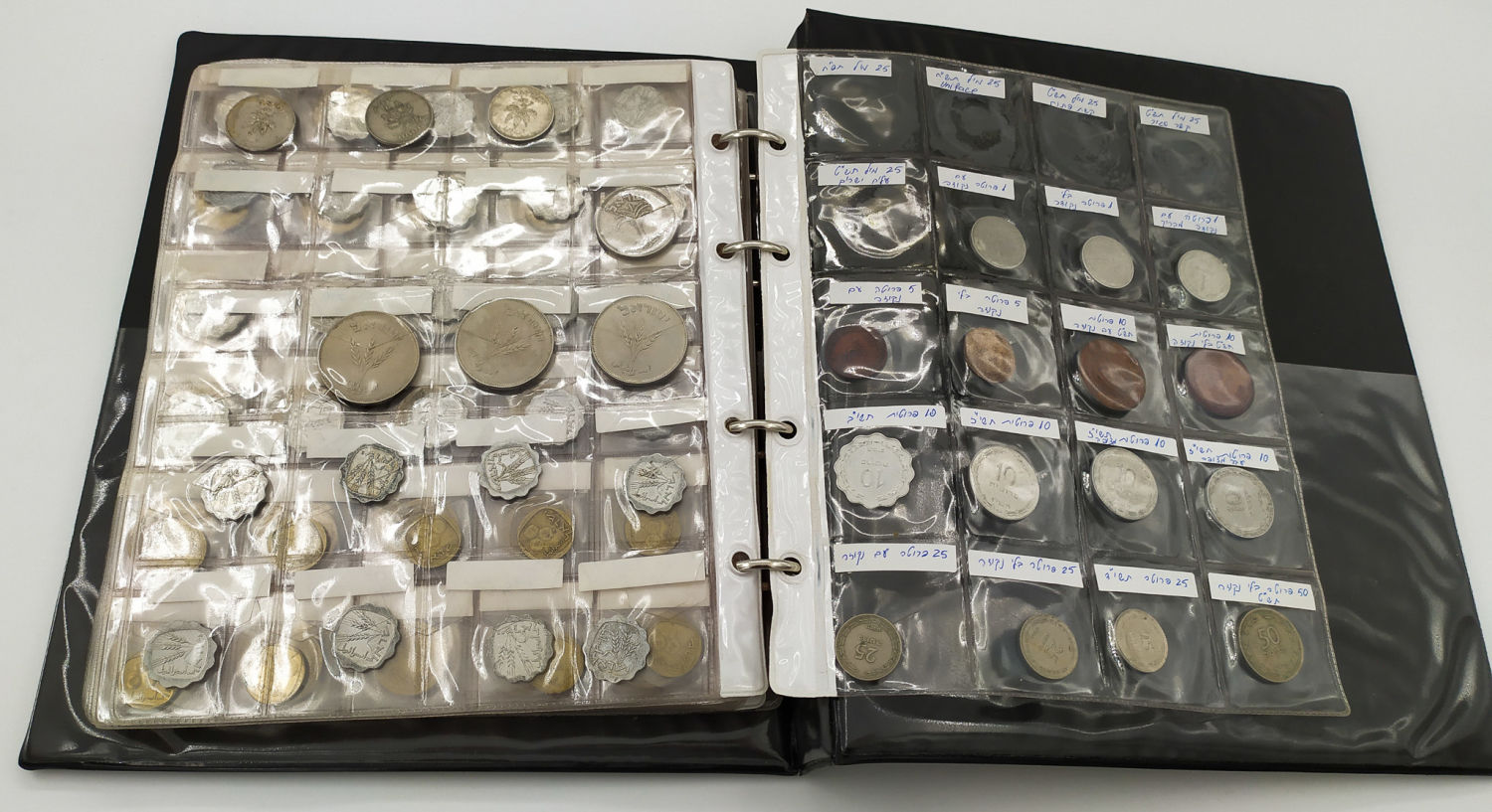 Israel - Israel Coin Album - A variety of Israeli coins, different years - 1 1