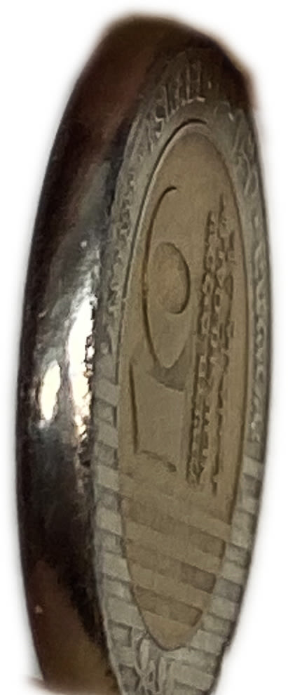 Israel - 10 Shekels 1995 - Mint Error, Round edges (instead of reeded)
Obverse:​Palm tree with seven ... - 1 3