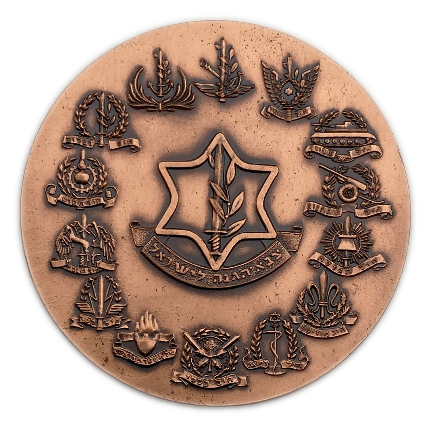 Judaica / Zionism - medal, Israel Defense Forces, bearing the symbols of the military units - Uniface - 1 0