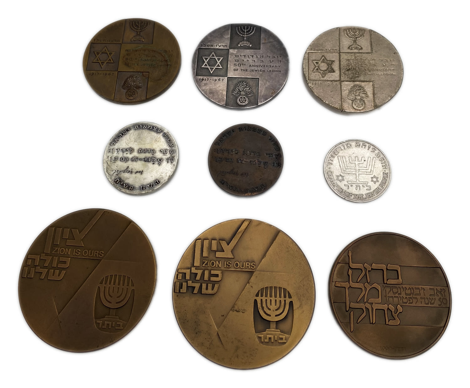 Israel - a collection of 9 medals on the theme of the Jabotinsky wolf - bronze, silver and copper nickel ... - 1 1