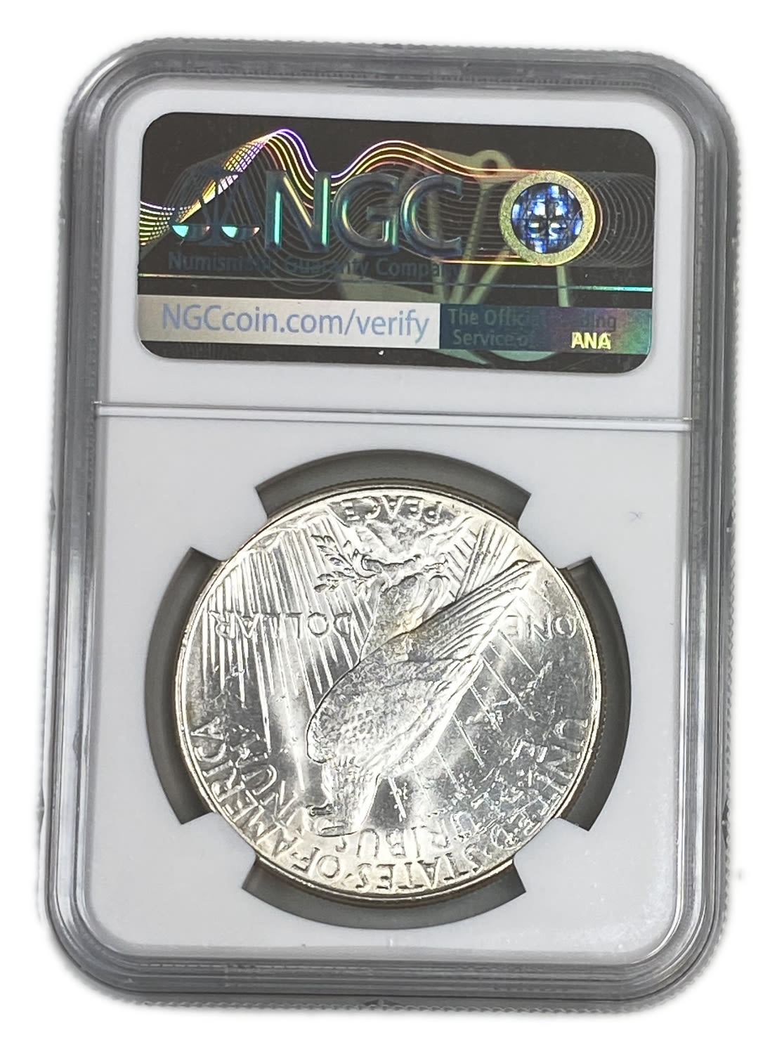 USA - 1 Dollar 1923 - NGC UNC DETAILS
Face: "IN GOD WE TRVST" / "LIBERTY"
Back: "E ... - 1 3