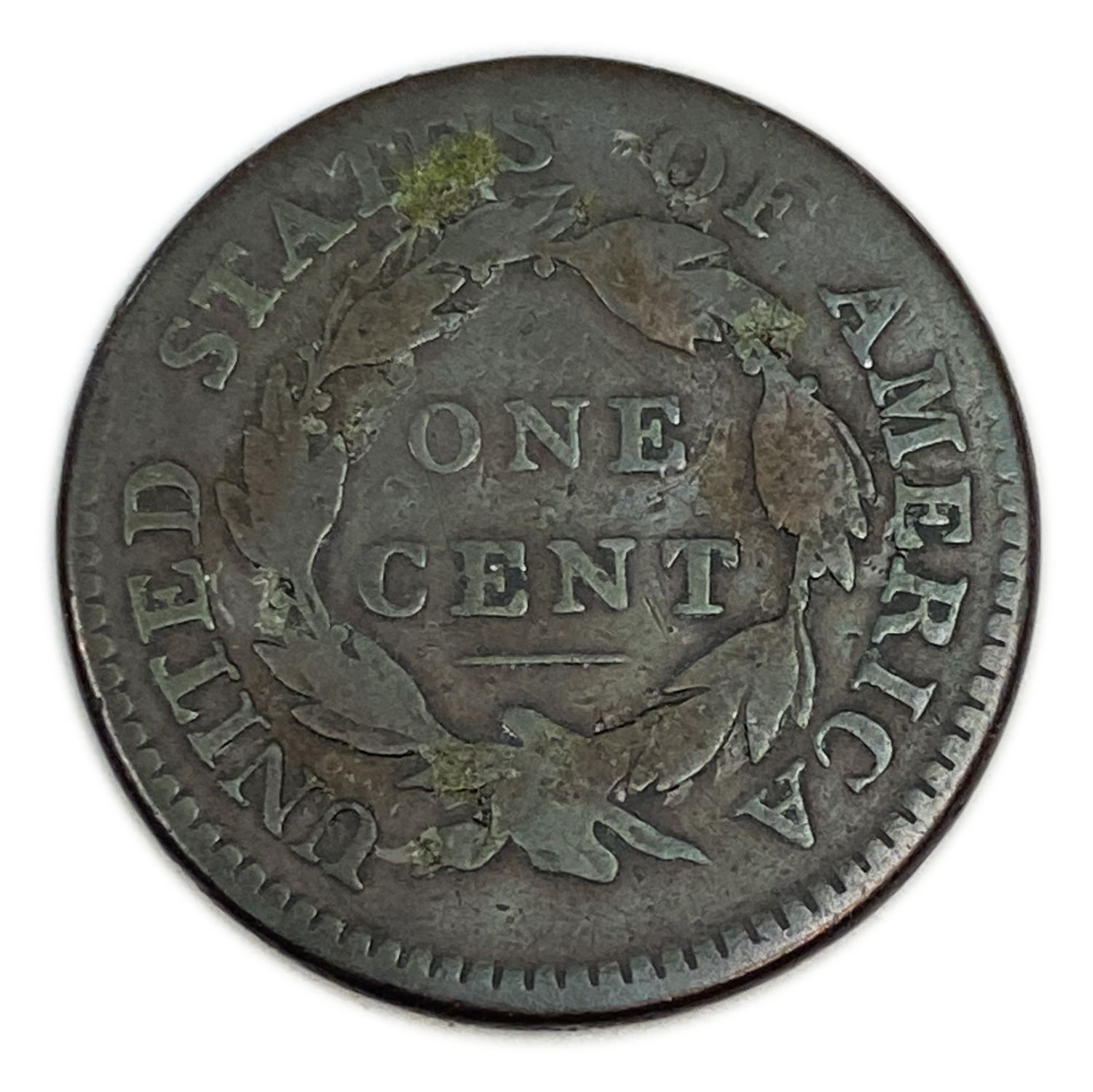 USA - 1 Cent 1814 - "Capped Bust - Classic Head Cent" - F - 1 1