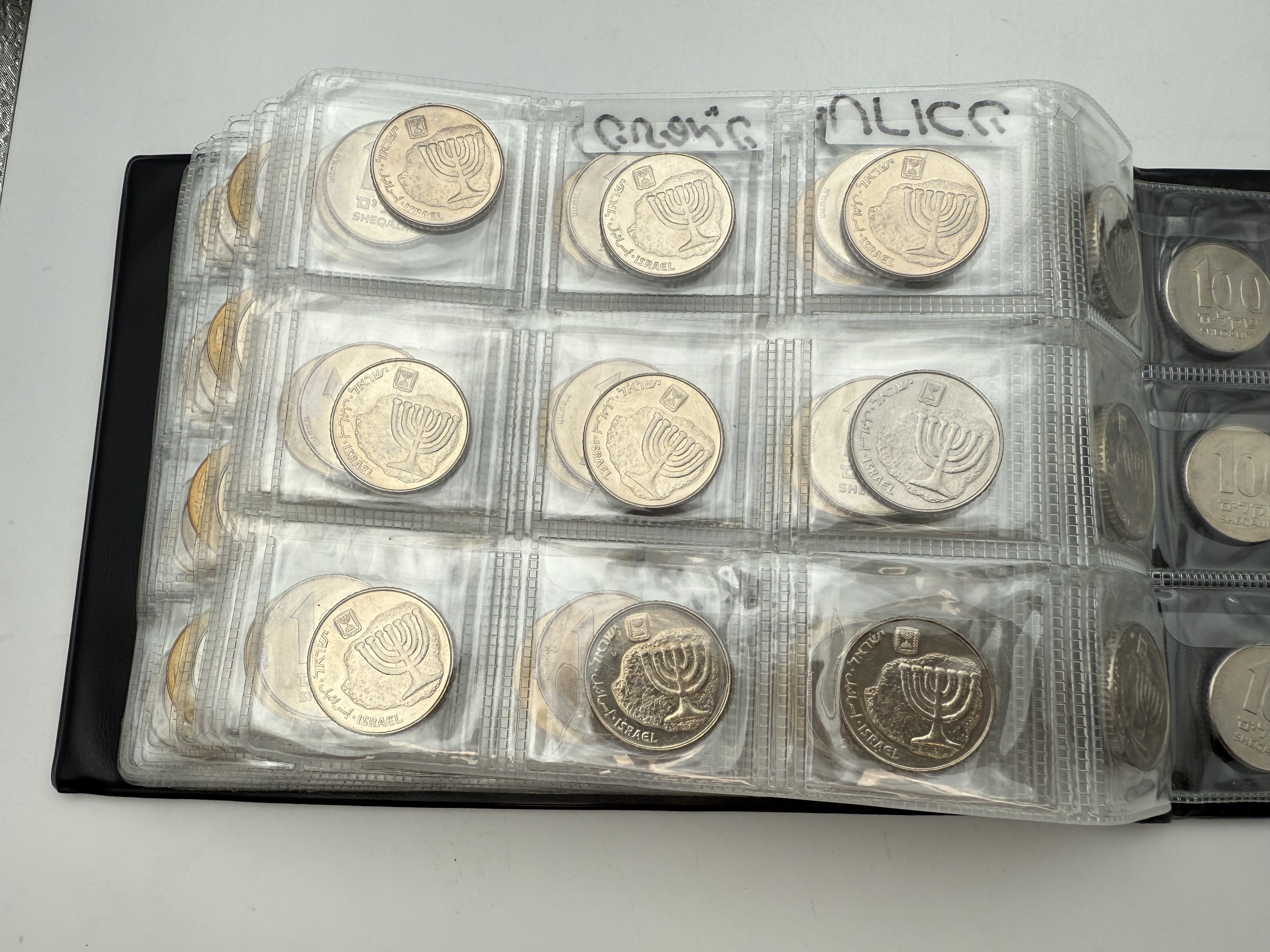 Israel - A collection of several hundred coins arranged in a special coin album, various conditions and years - 1 63