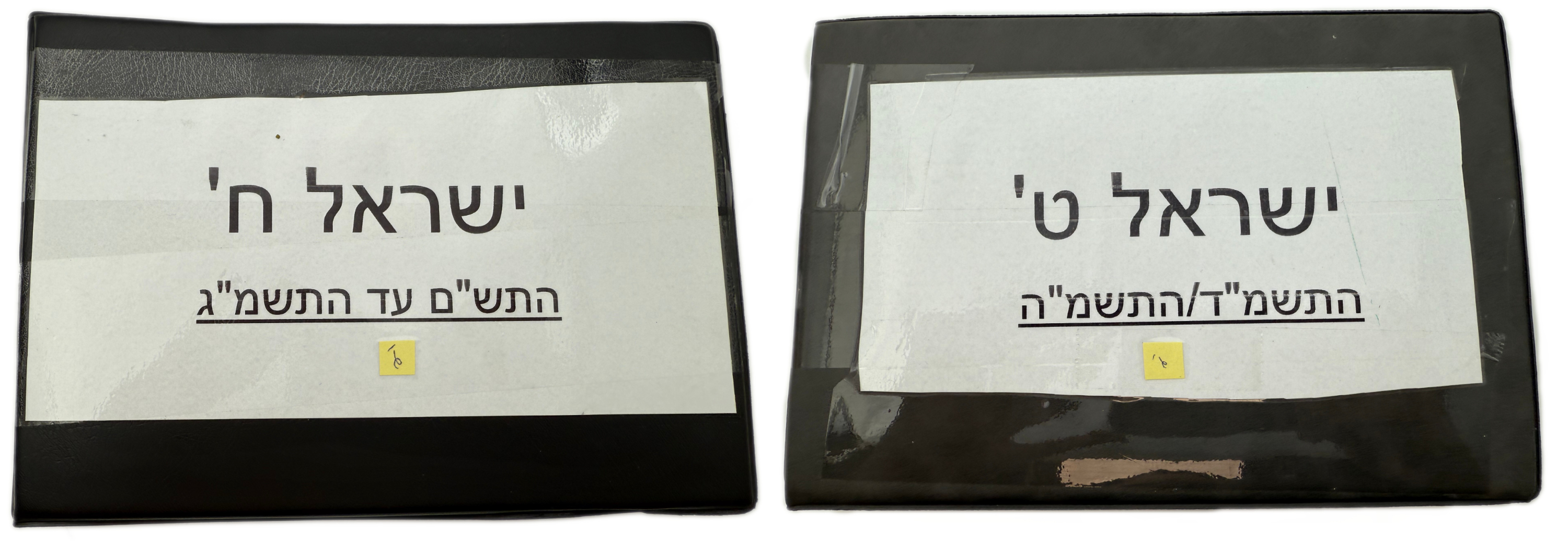 Israel - A collection of several hundred coins arranged in a special coin album, various conditions and years - 1 0