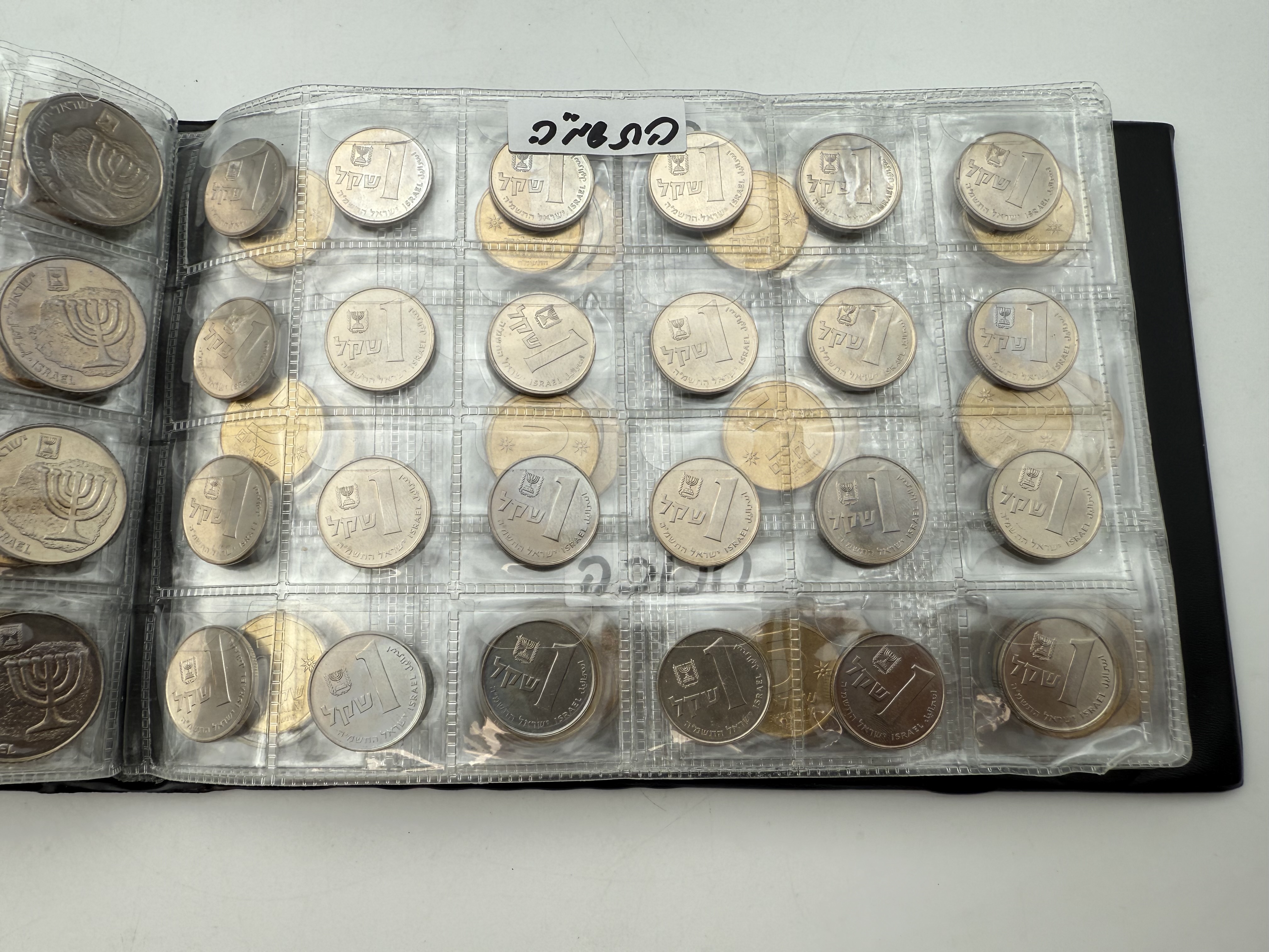 Israel - A collection of several hundred coins arranged in a special coin album, various conditions and years - 1 51
