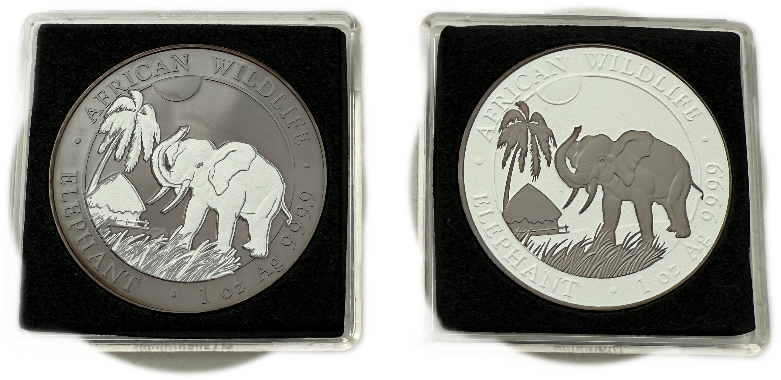 Somalia - 2 x 100 Shilling 2017 Somalia Black & White Ruthenium Edition - 2 x 1 Oz - Silver - 1 1