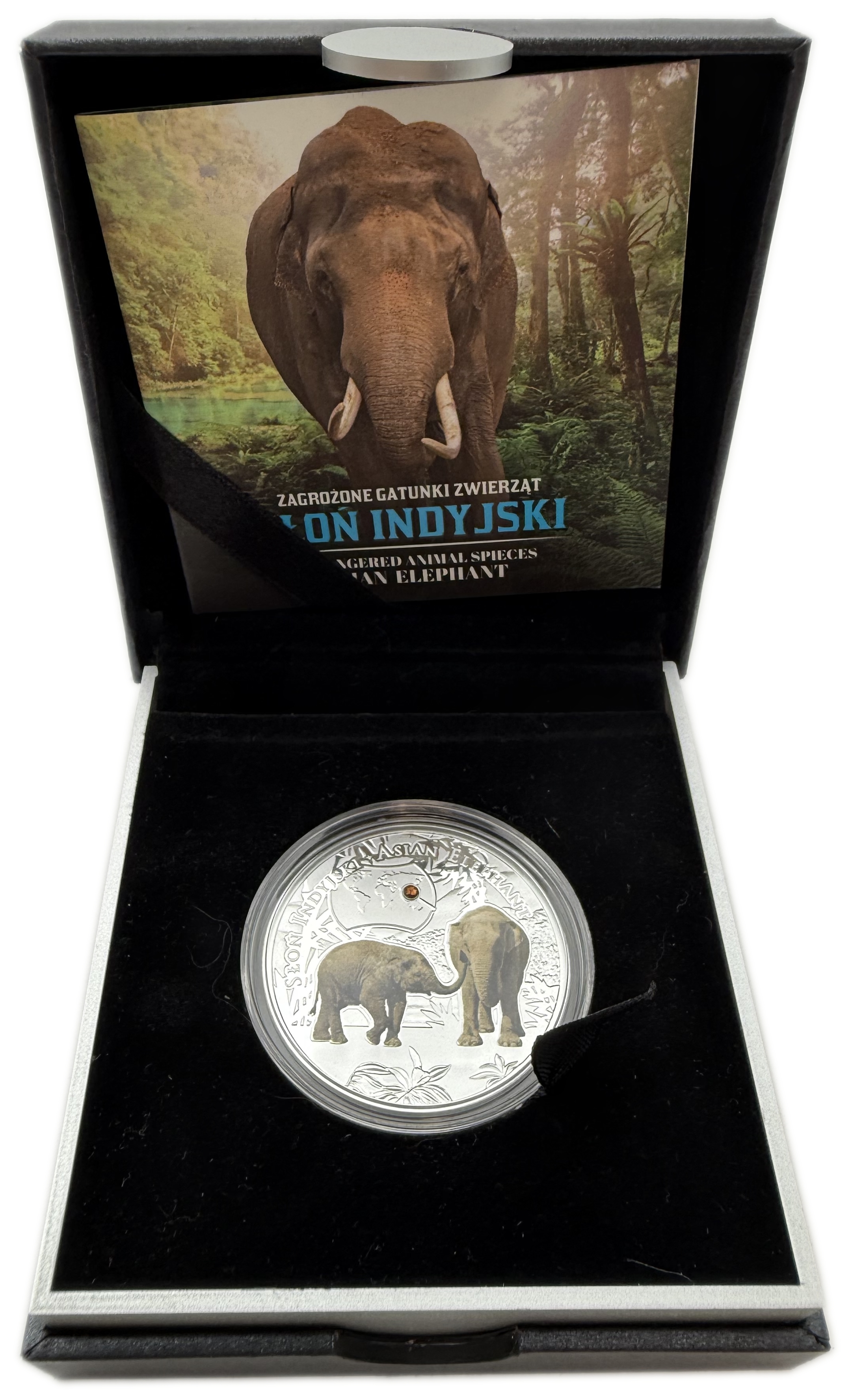Niue - 1 Dollar 2016 - Elizabeth II Asian Elephant - Silver 999, 17.5g (0.56 OZ), 38.61mm - 1 2