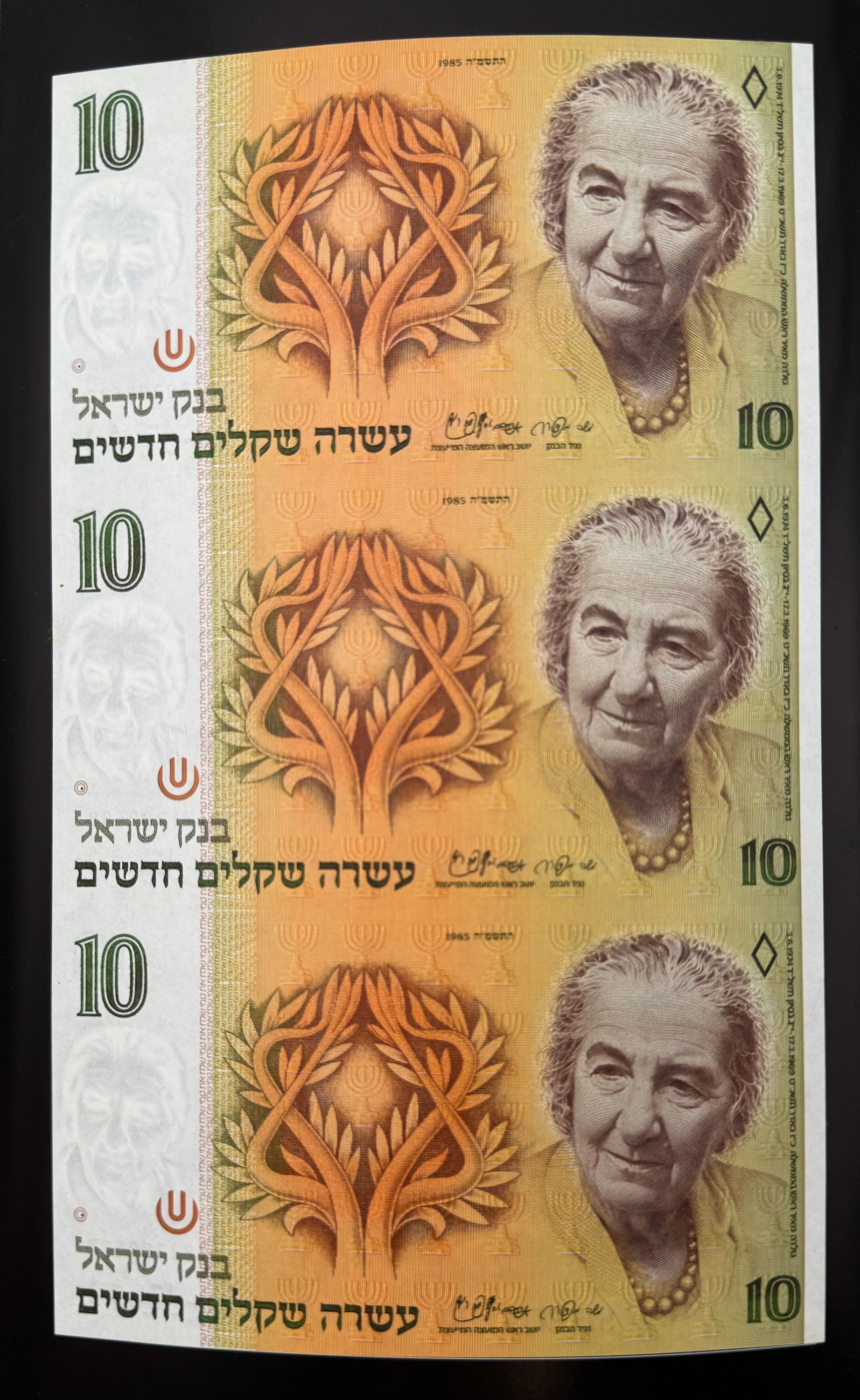 Israel - 10 New Shekel 1985 - UNC - 1 0