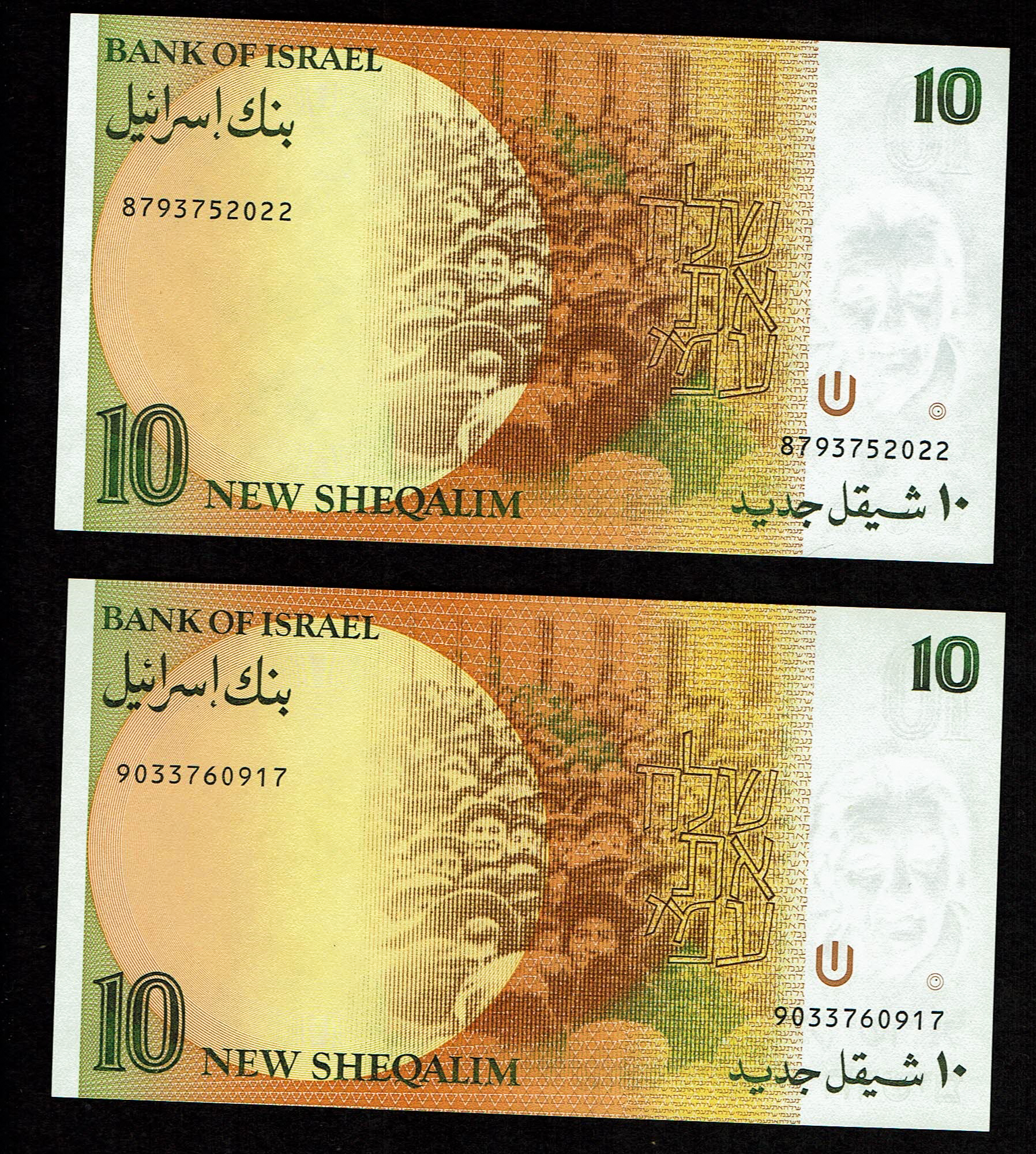 Israel - Set of 39 banknotes from the new shekel series, 1, 5, 10, 20, 50, 100 and 200 Shekels 1986, 1987, 1991 ... - 1 13