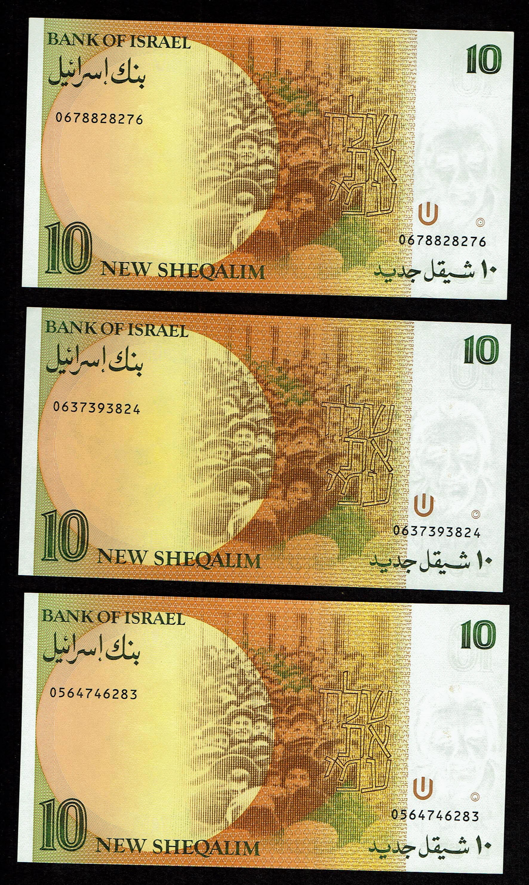Israel - Set of 39 banknotes from the new shekel series, 1, 5, 10, 20, 50, 100 and 200 Shekels 1986, 1987, 1991 ... - 1 10