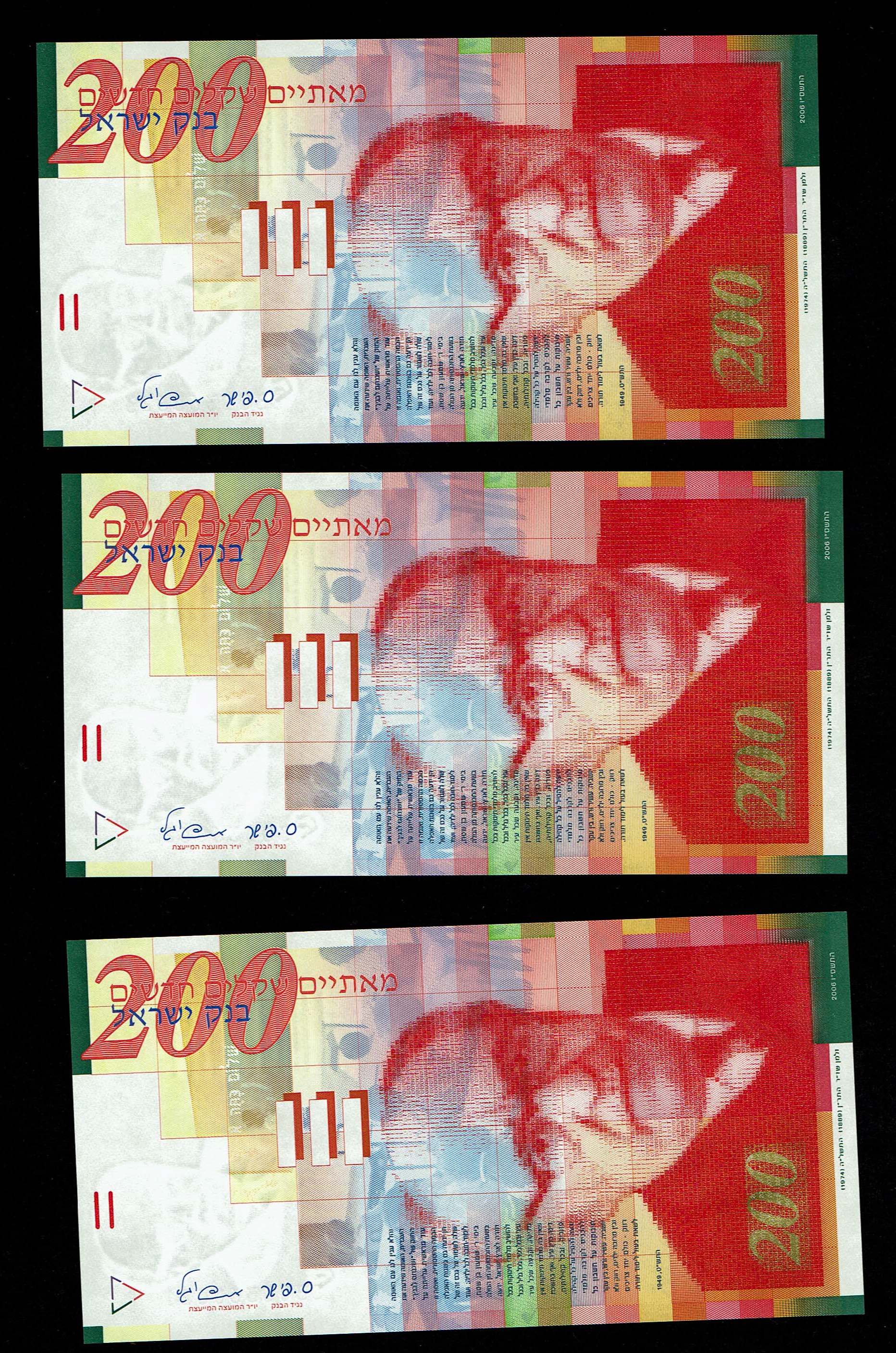 Israel - Lot of 15 Banknotes of 200 Shekels 1999, 2002, 2006, 2010, 2014 - UNC - 1 9