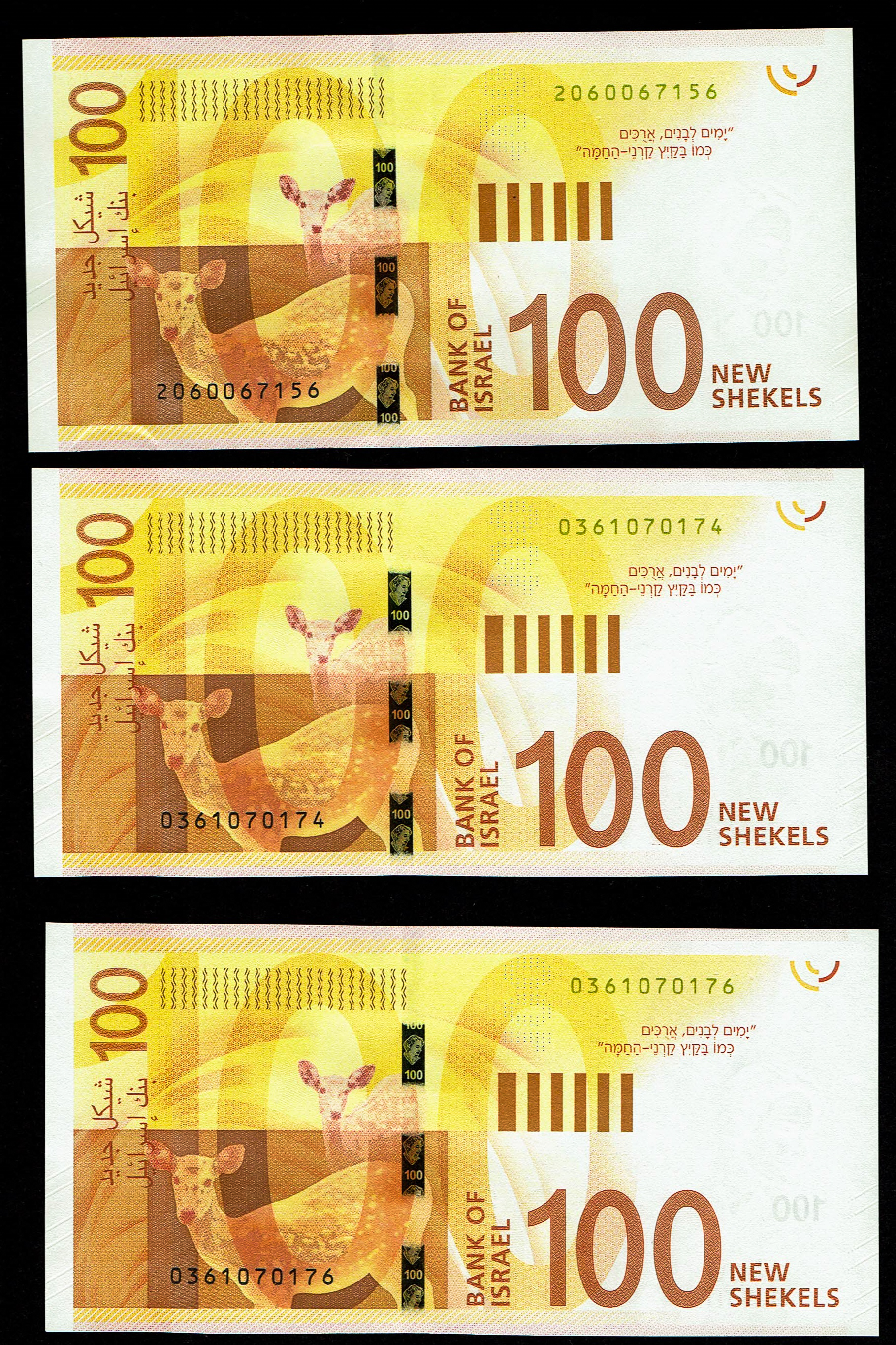 Israel - Lot of 9 Banknotes of 100 Shekels 2017, 2020 - "New Shekel Series C" - UNC - 1 2