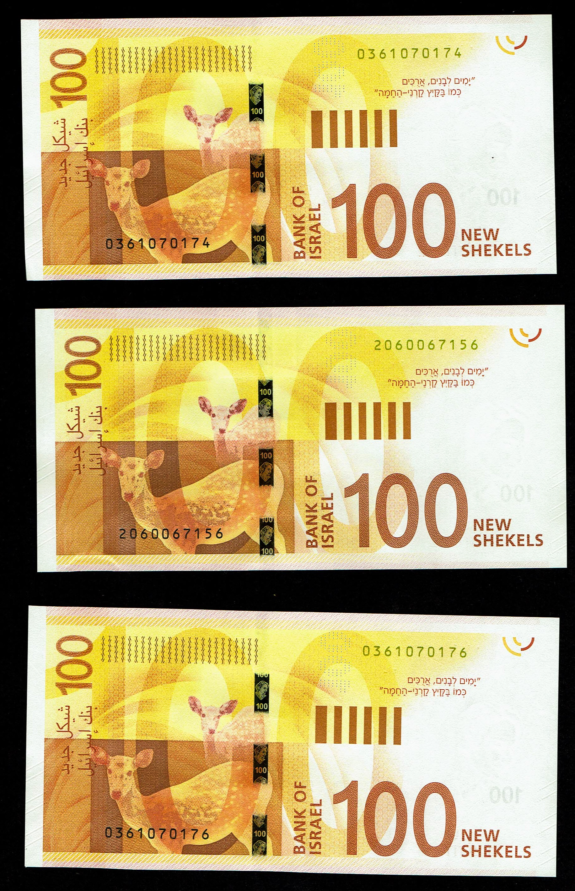 Israel - Lot of 9 Banknotes of 100 Shekels 2017, 2020 - "New Shekel Series C" - UNC - 1 4