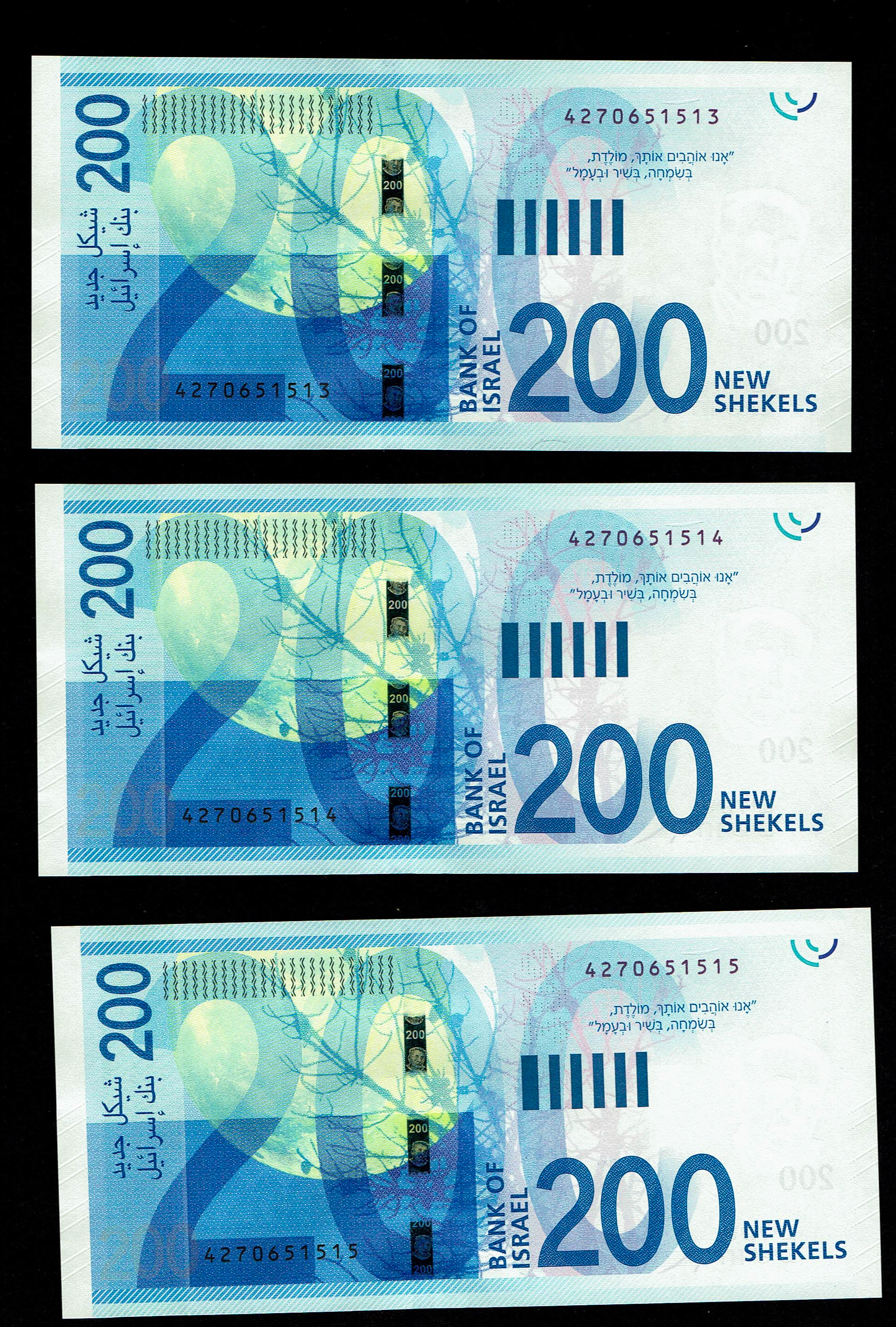 Israel - Lot of 6 Banknotes of 200 Shekels 2016, 2020 - "New Shekel Series C" - UNC - 1 2