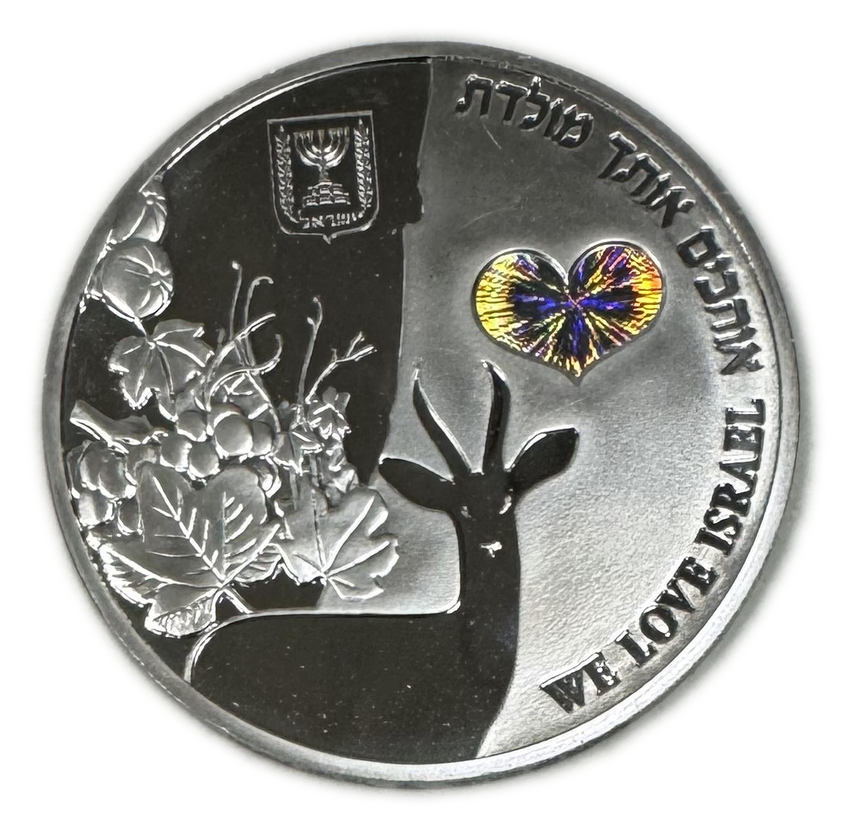 Israel - 60th anniversary platinum medal for the country "Deer Land", minting quantity: 60 units - platinum 999 ... - 1 0