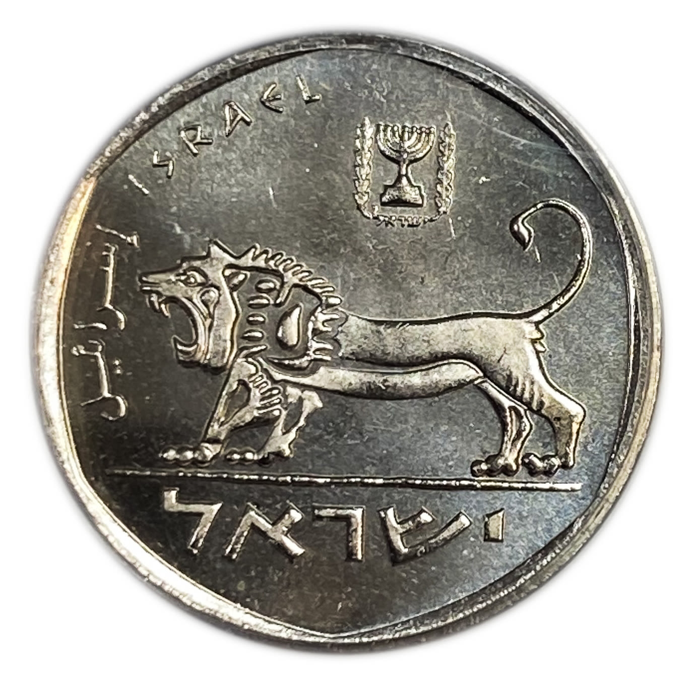Israel - 1/2 Sheqel 1981 - ANCAS MS 67 - 1 1