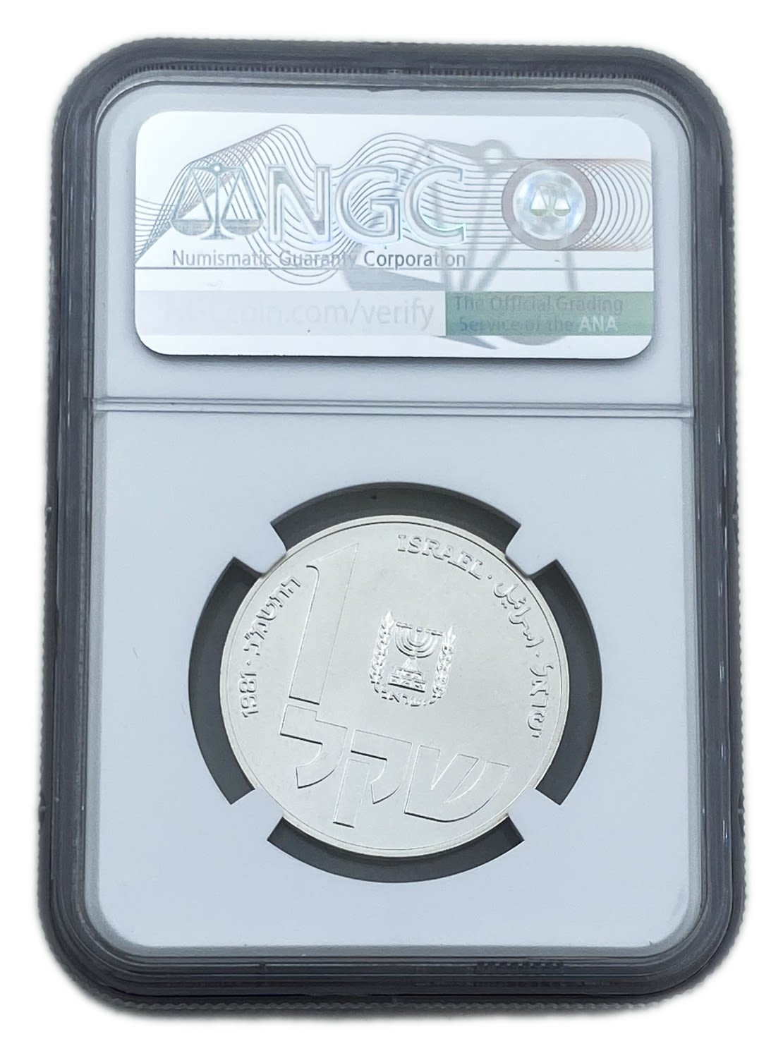 Israel - 1 Shekel 1981 - NGC MS 67 - Hanukka Lamp from Poland - 1 1