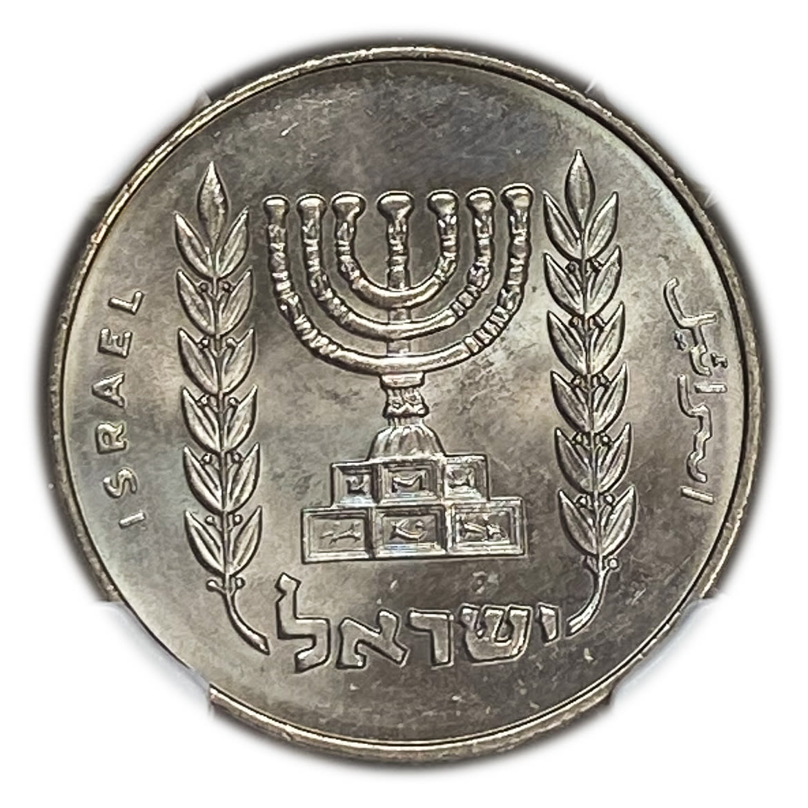 Israel - 1/2 Lira 1963 - NGC MS 65 - "Small Animals" - 1 1