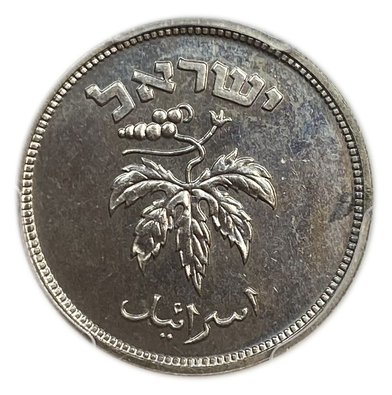 Israel - 50 Pruta 1949 - "With Pearl" - PCGS PROOF 63 - Rare
Obverse:Vine leaf; "Israel" in Hebrew ... - 1 1