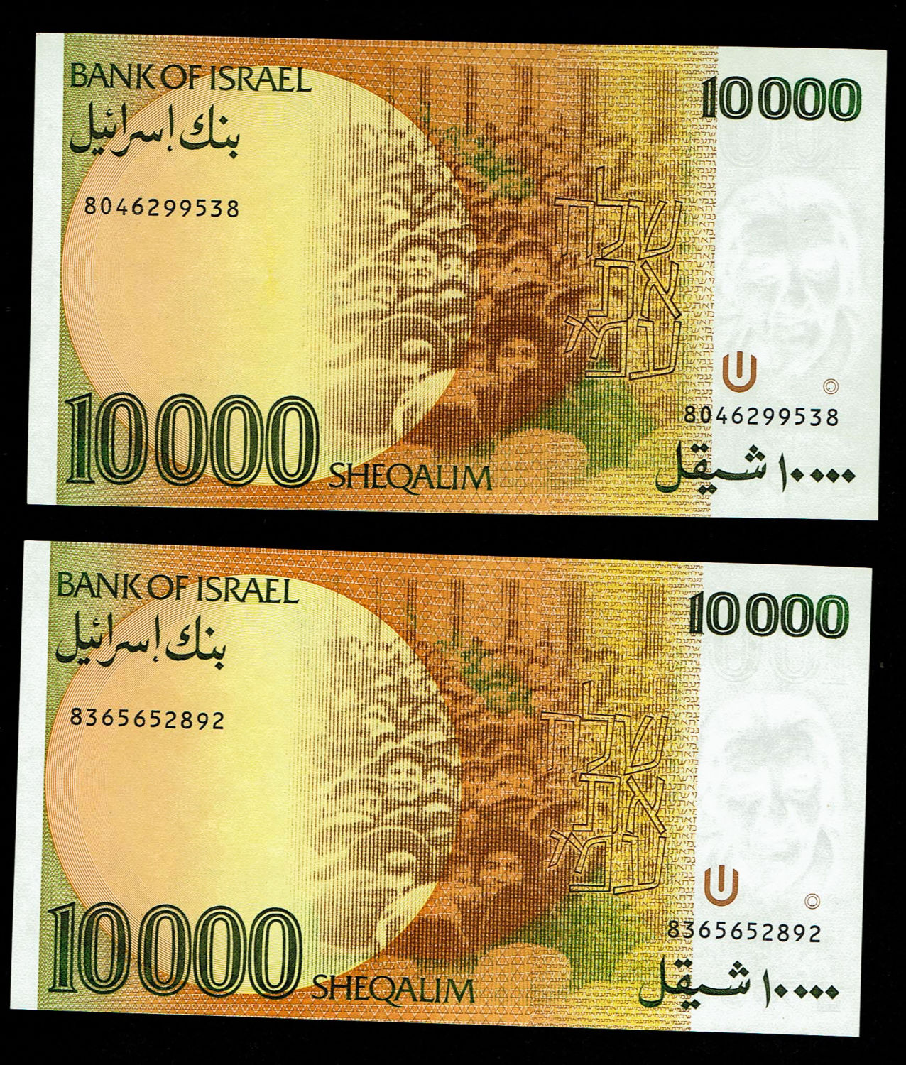 Israel - 5 banknotes of 10,000 Shekels 1984 - UNC - 1 4