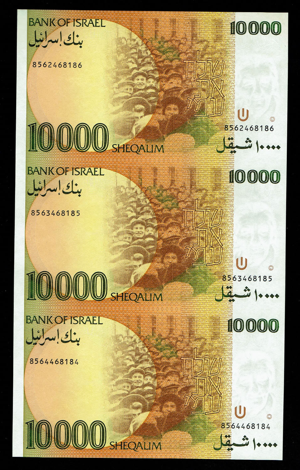 Israel - Sheet of 3 banknotes of 10,000 Shekels 1984 - UNC - 1 1