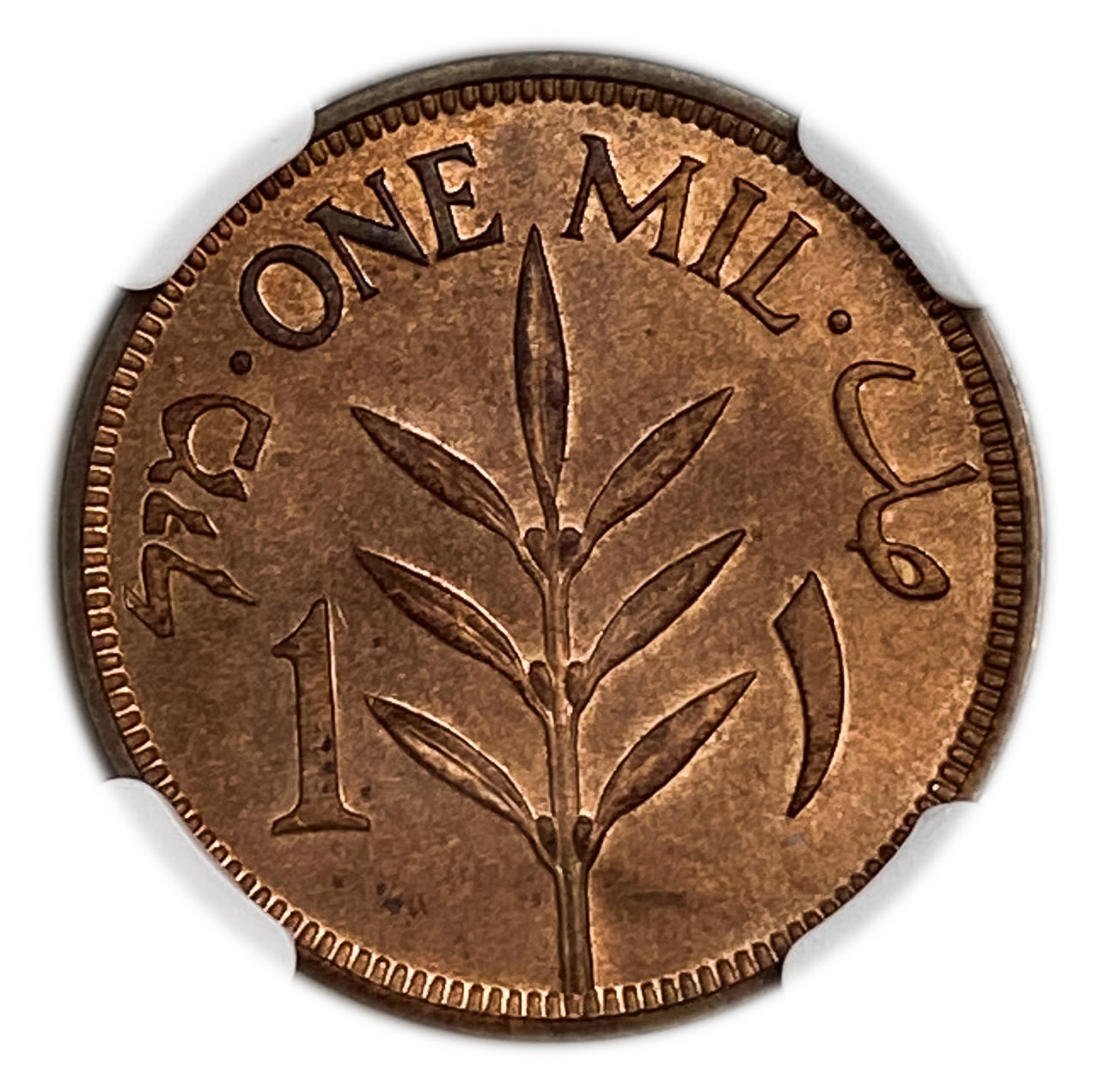 Palestine - 1 Mil 1935 - NGC 65 RB - UNC
Very high grade
MIL, was the Hebrew name ... - 1 1