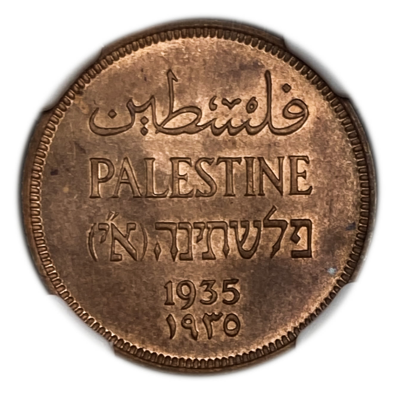Palestine - 1 Mil 1935 - NGC 65 RB - UNC
Very high grade
MIL, was the Hebrew name ... - 1 0