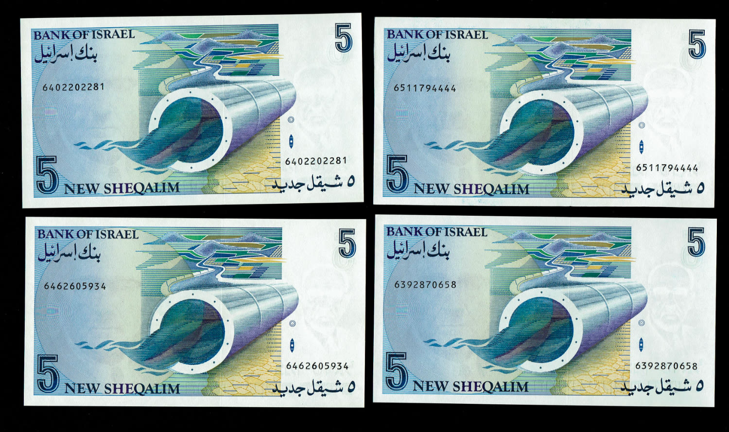 Israel - 13 Banknotes of 5 New Shekel 1987 - UNC - 1 2