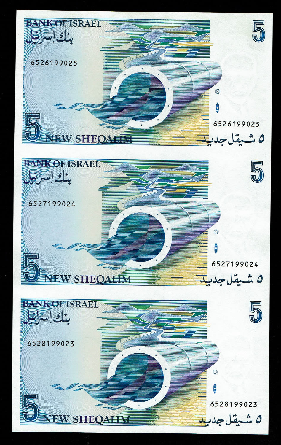 Israel - Banknotes sheet of 5 New Shekel 1987 - UNC - 1 1