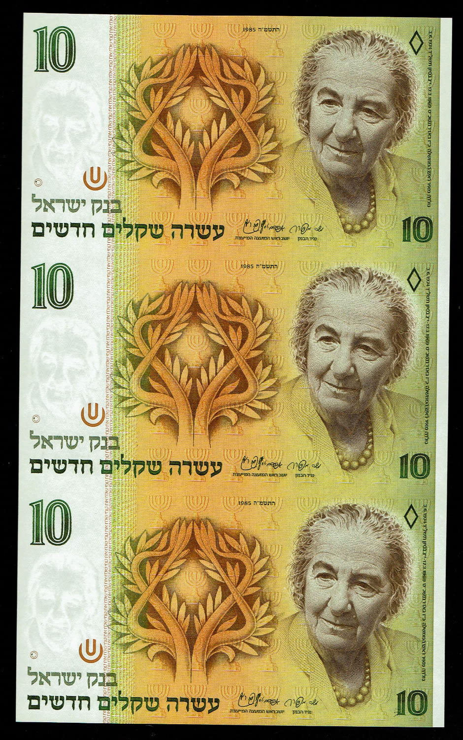 Israel - 10 New Shekel 1985 - UNC - 1 0