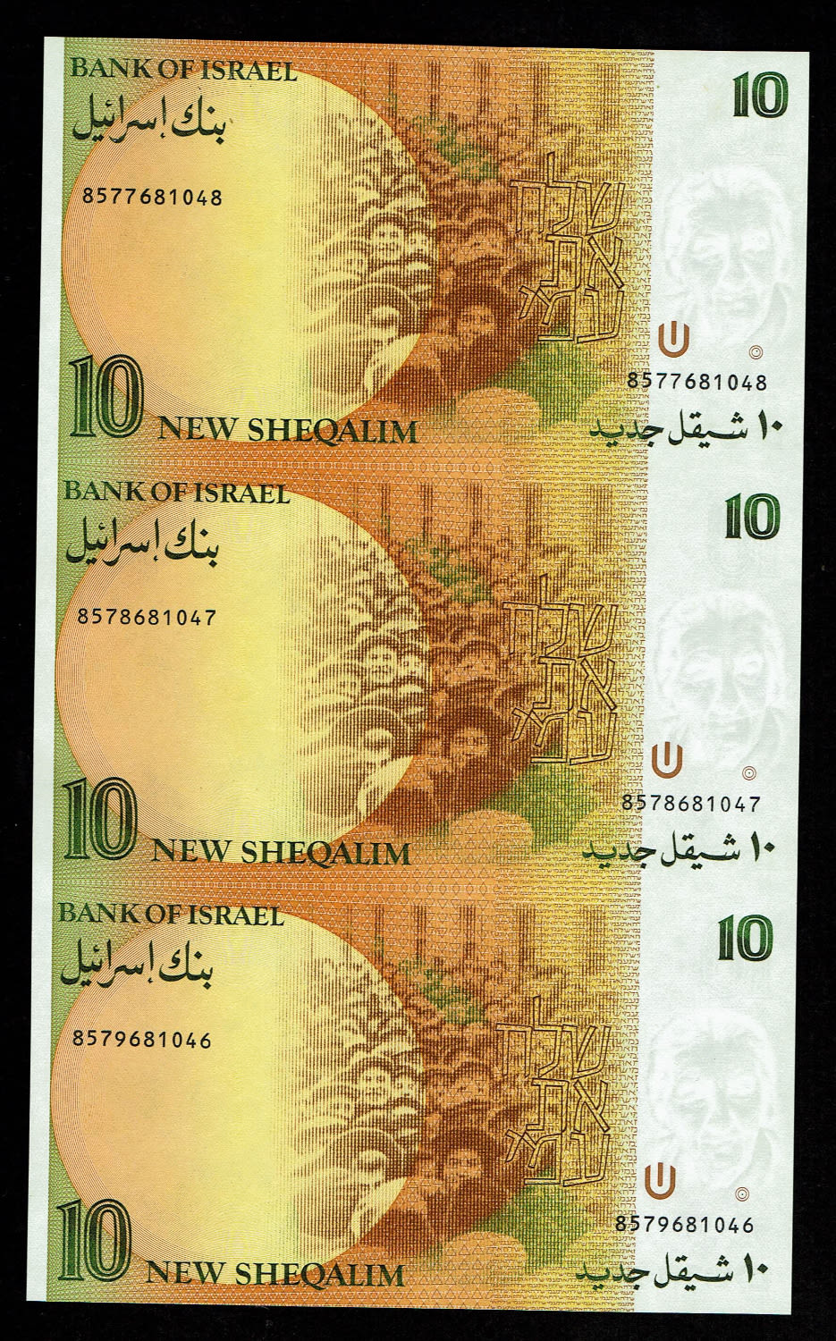 Israel - 10 New Shekel 1985 - UNC - 1 1