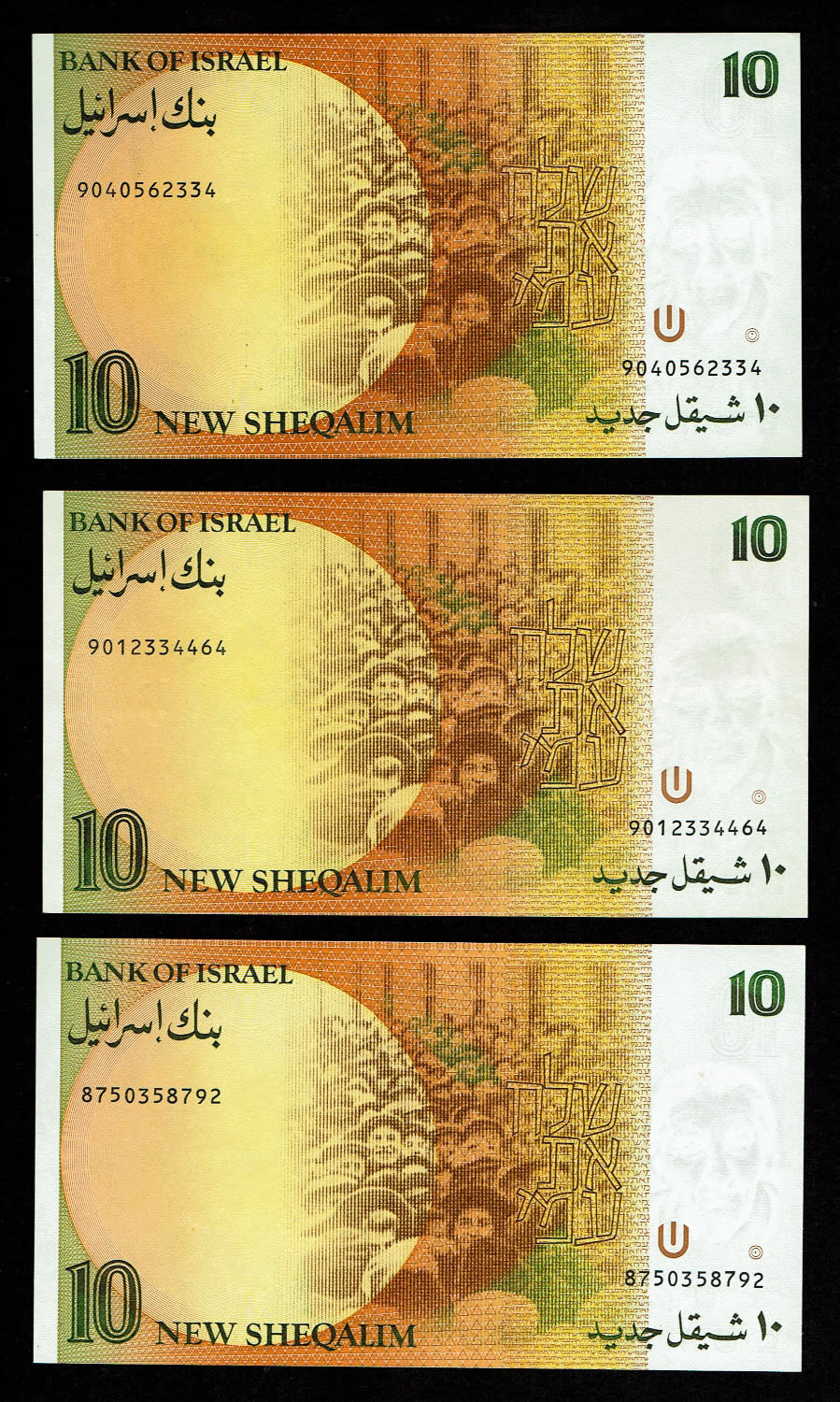 Israel - 3 Banknotes of 10 New Shekel 1985 - UNC - 1 1
