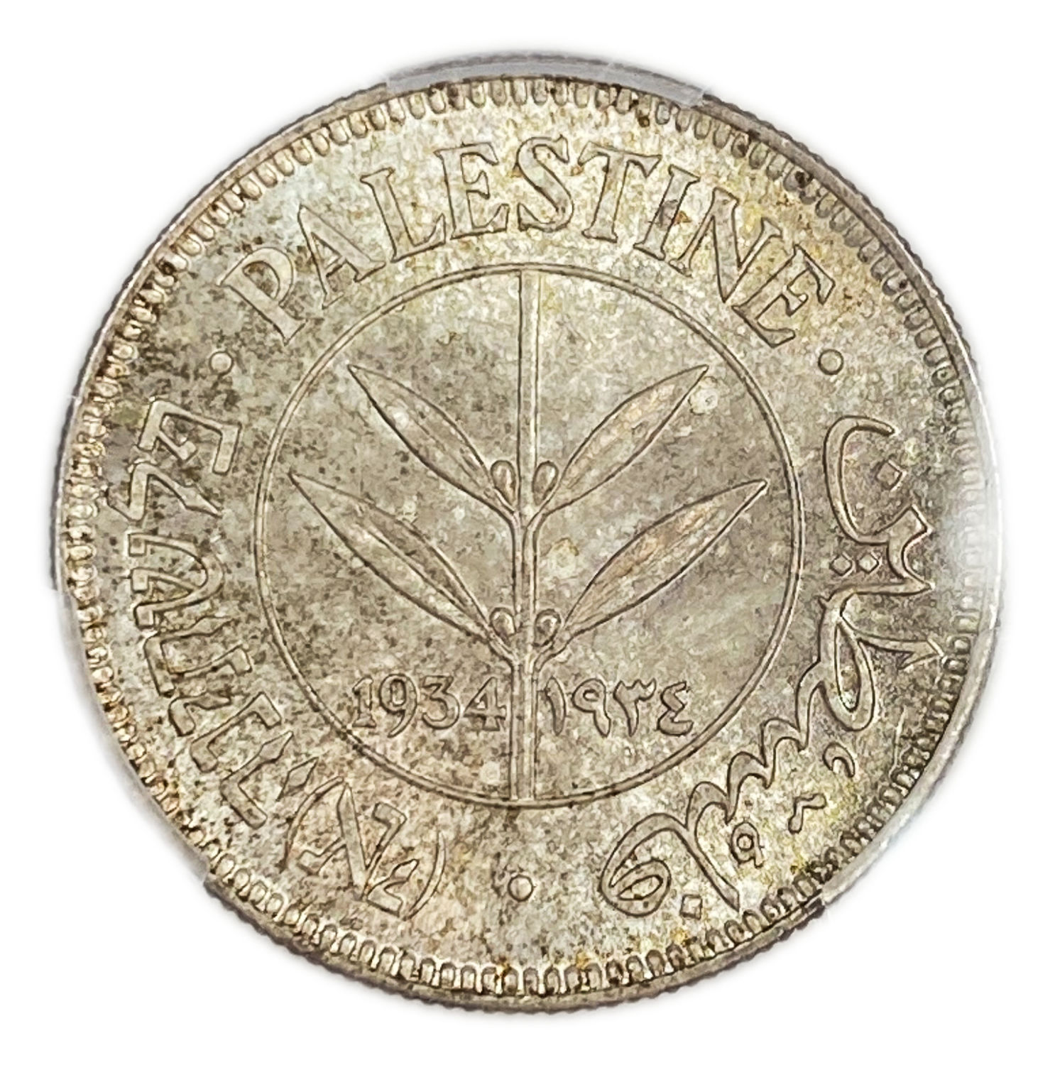 Palestine - 50 Mils 1934 - PCGS MS 64 - UNC
The lowest issue of the 50-mils. Rare.
... - 1 0