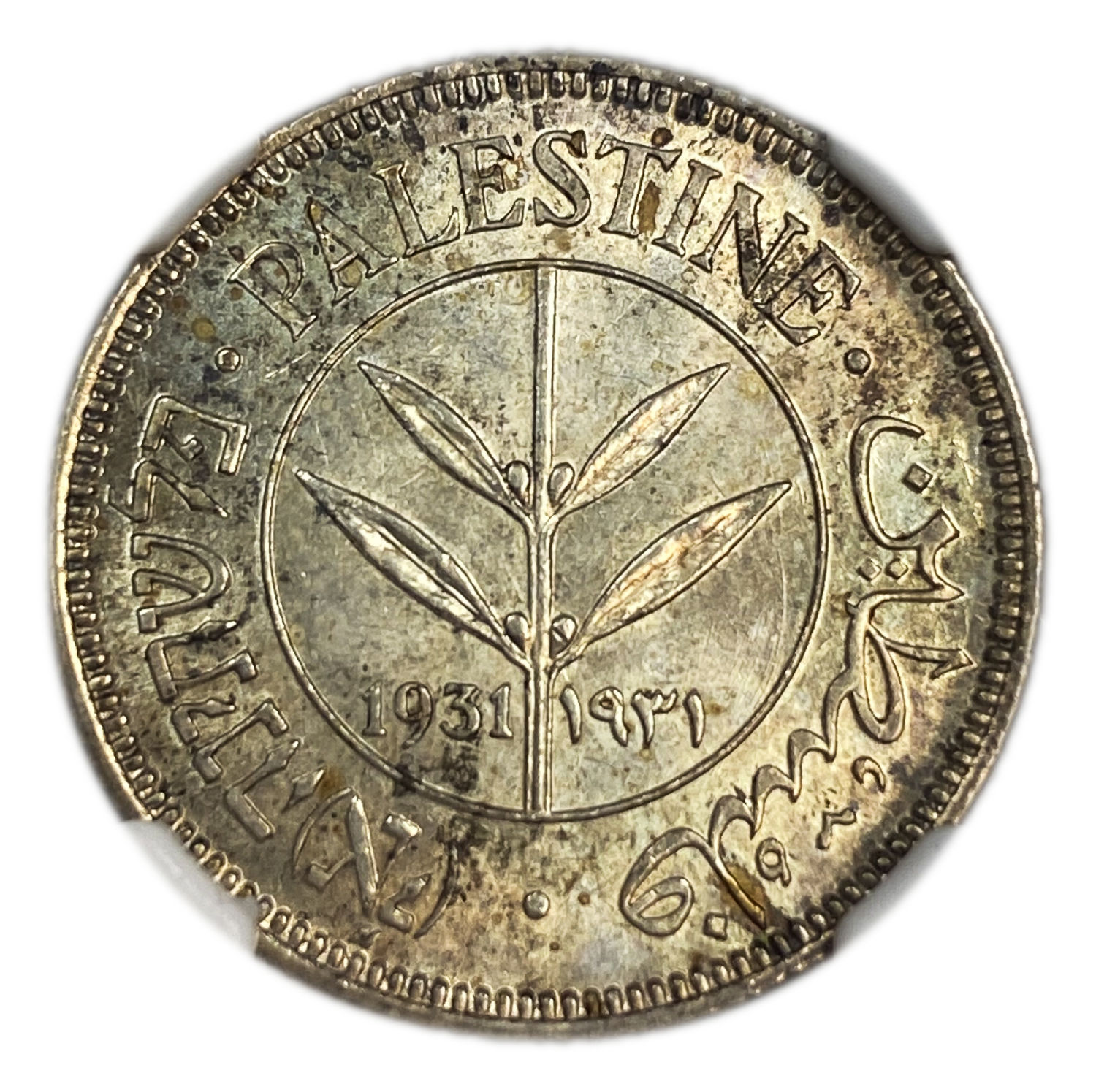 Palestine - 50 Mils 1931 - NGC 62 - UNC - Rare
The second most rare coin in a UNC condition from the ... - 1 0