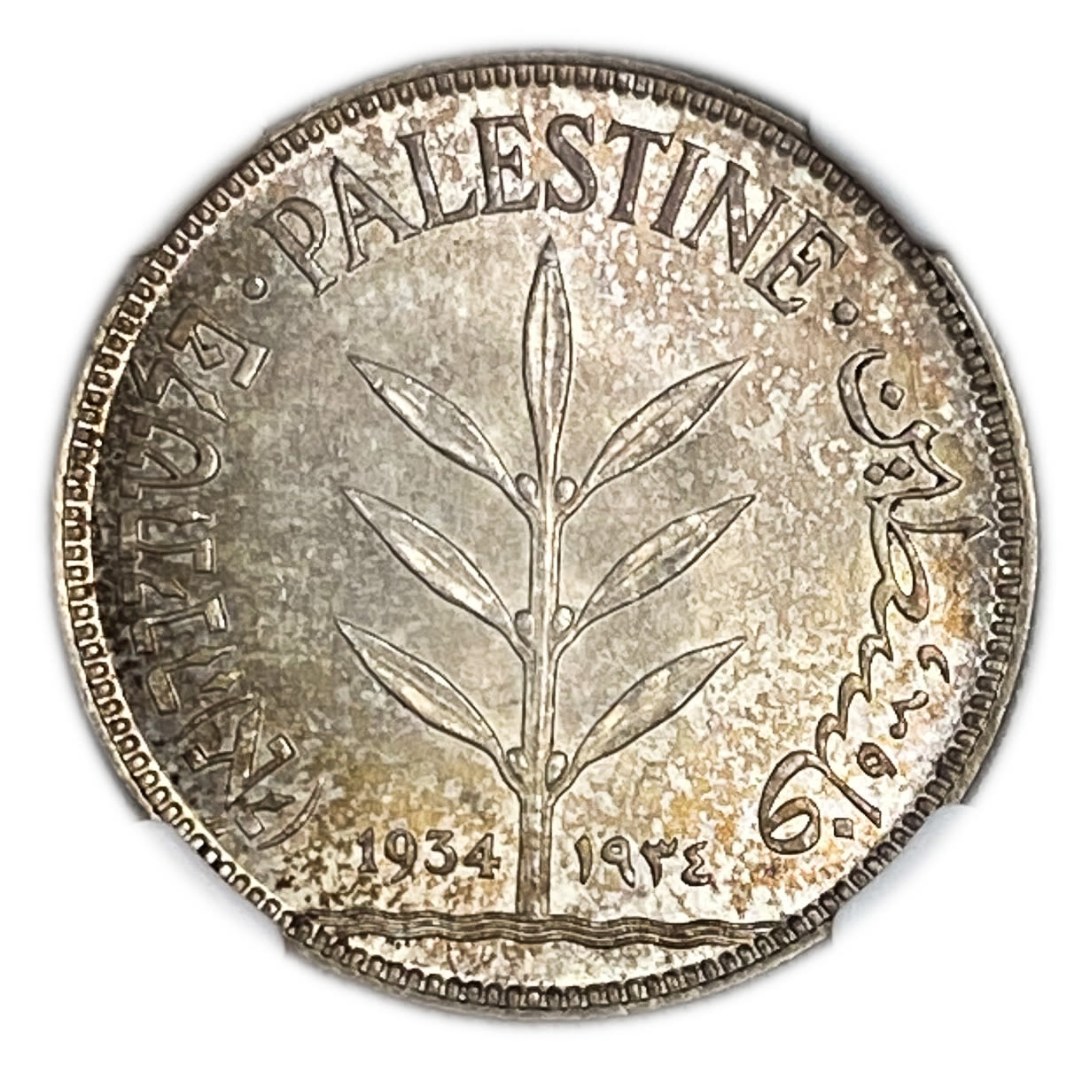 Palestine - 100 Mils 1934 - NGC MS 65 - The highest grade and the only one that has such a high grade - TOP POP ... - 1 1