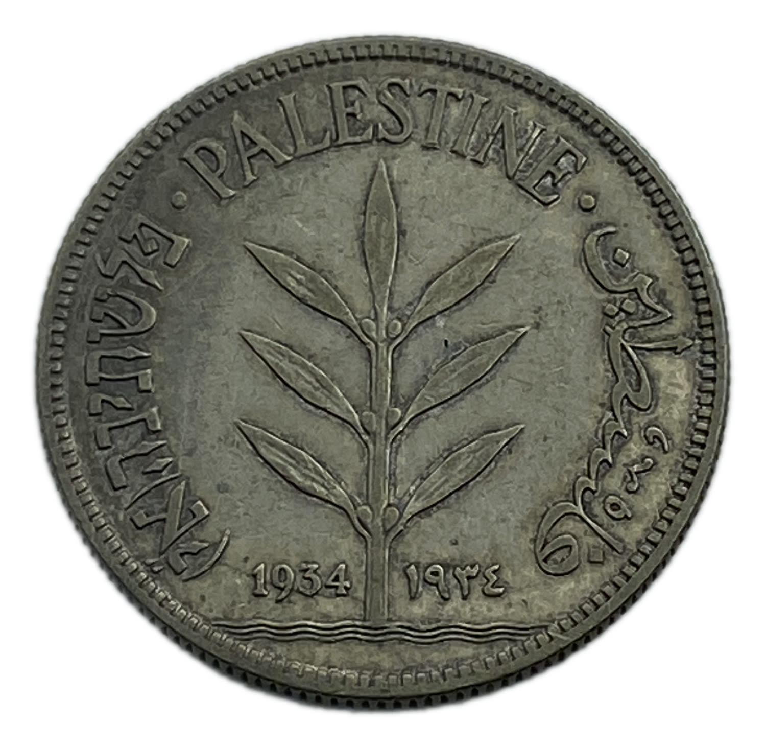 Palestine - 100 Mils 1934 - VF-XF
The lowest production quantity among the 100 mil coins ... - 1 0