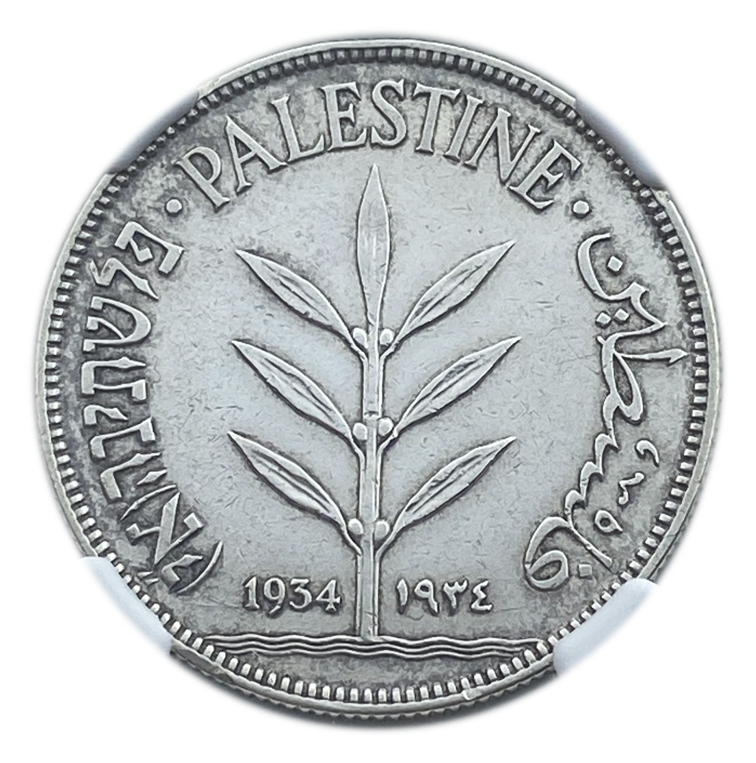 Palestine - 100 Mils 1934 - NGC AU DETAILS
The lowest production quantity among the 100 mil ... - 1 0