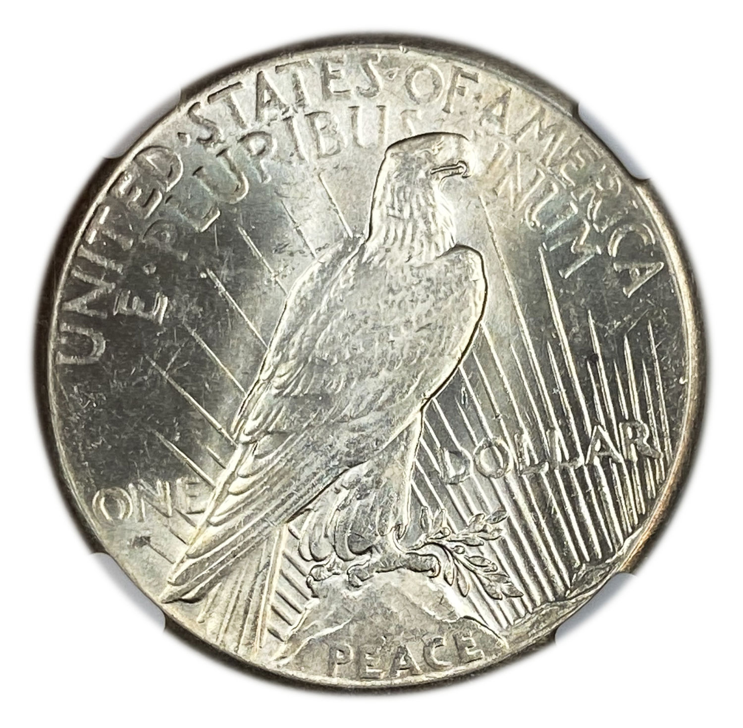 USA - 1 Dollar 1928 - NGC AU 58
Face: "IN GOD WE TRVST" / "LIBERTY"
Back: "E PLURIBUS ... - 1 1