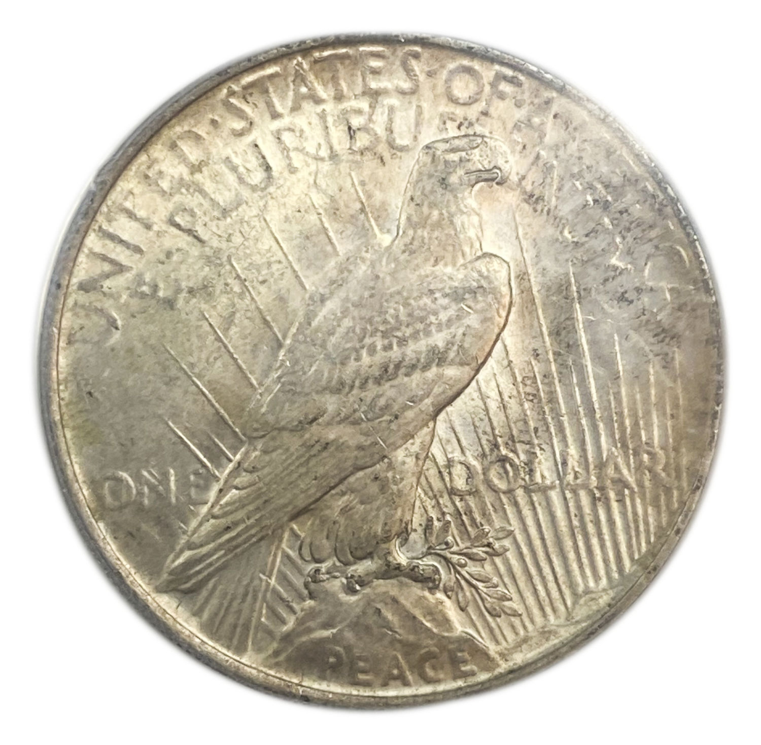 USA - 1 Dollar 1923 - PCGS MS 61 - Silver
Face: "IN GOD WE TRVST" / "LIBERTY"
Back: ... - 1 1