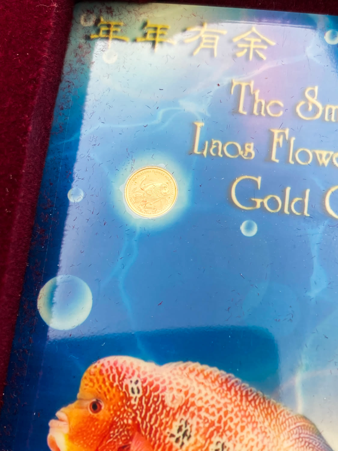 Laos - medal, commemorating the fish, extremely tiny gold medal, 0.3 g - Cichlasoma flower horn - comes in a fancy ... - 1 1