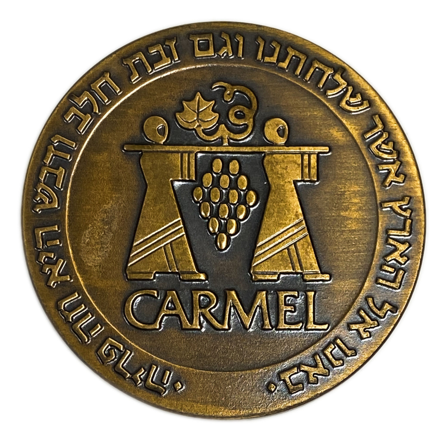 Israel - Medal commemorating a national conference for food and sediment experts 3-5.12.1984 - "We came to the land ... - 1 1
