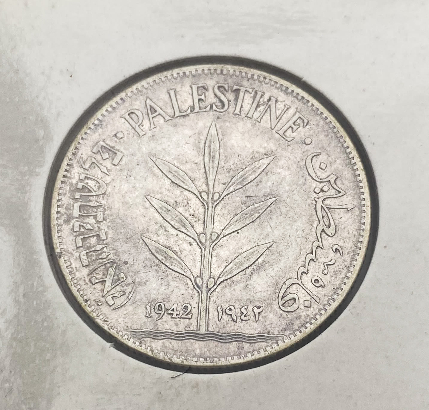 Palestine - 100 mil 1927, 1935, 1939, 1940, 1942 - are at pages and special storage cartoon for coins - F-VF ... - 1 5